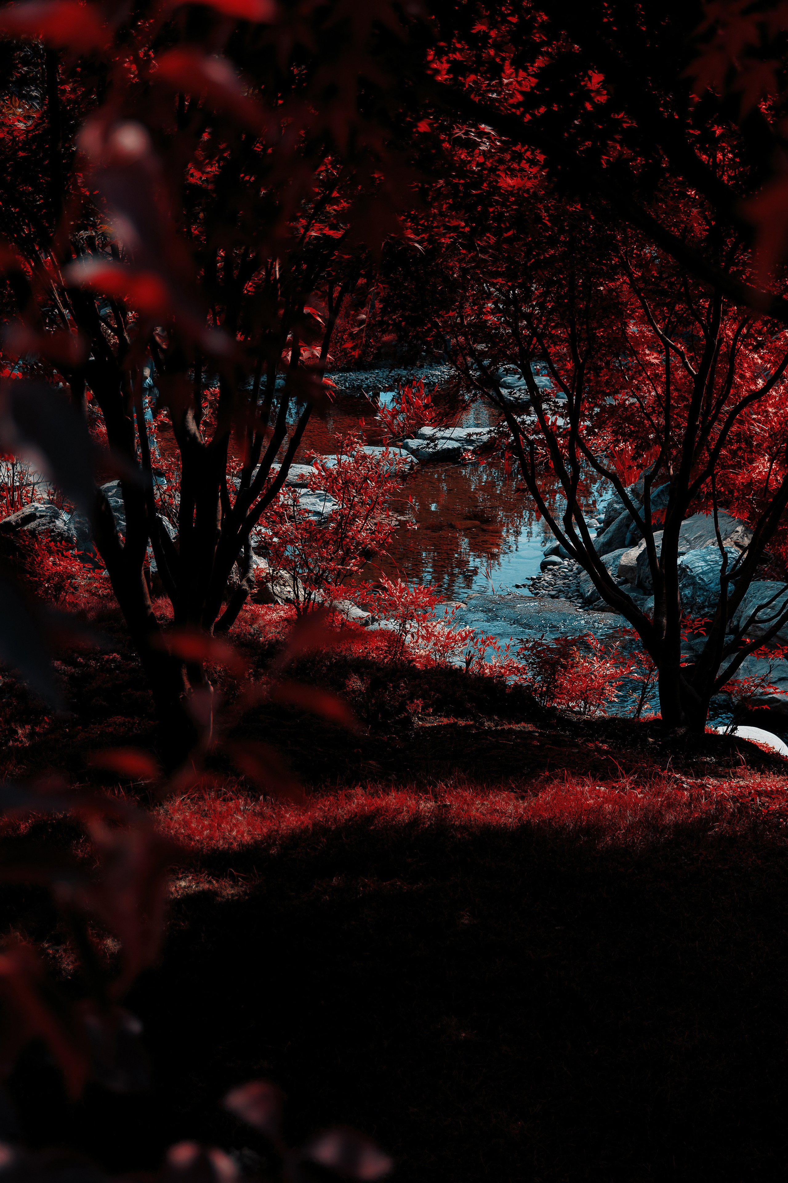 Фотосессия в японском стиле в краснодаре в парке Галицкого. прекрасный образ гейши и женская эстетика. Красивая природа Японии. 