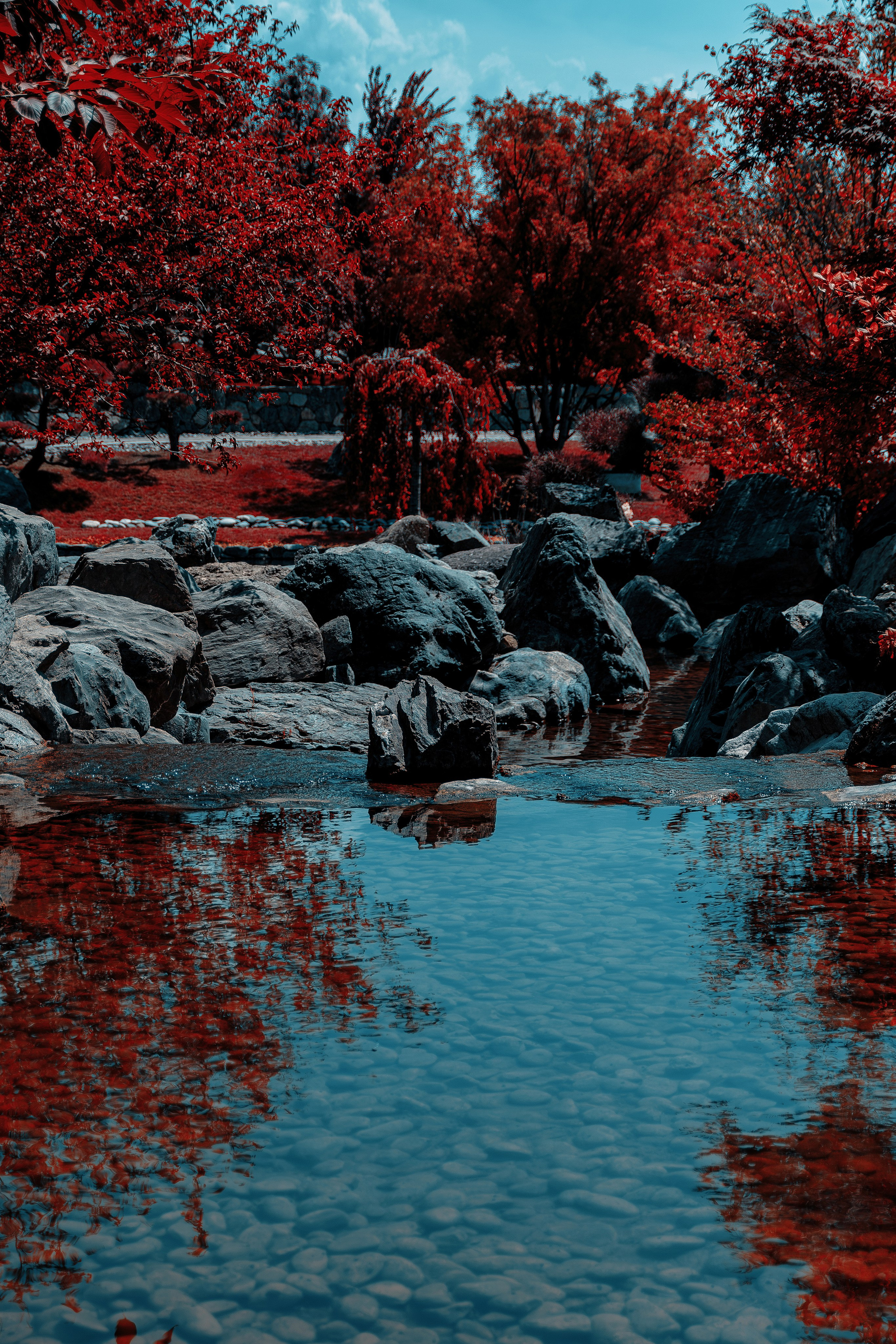 Фотосессия в японском стиле в краснодаре в парке Галицкого. прекрасный образ гейши и женская эстетика. Красивая природа Японии. 