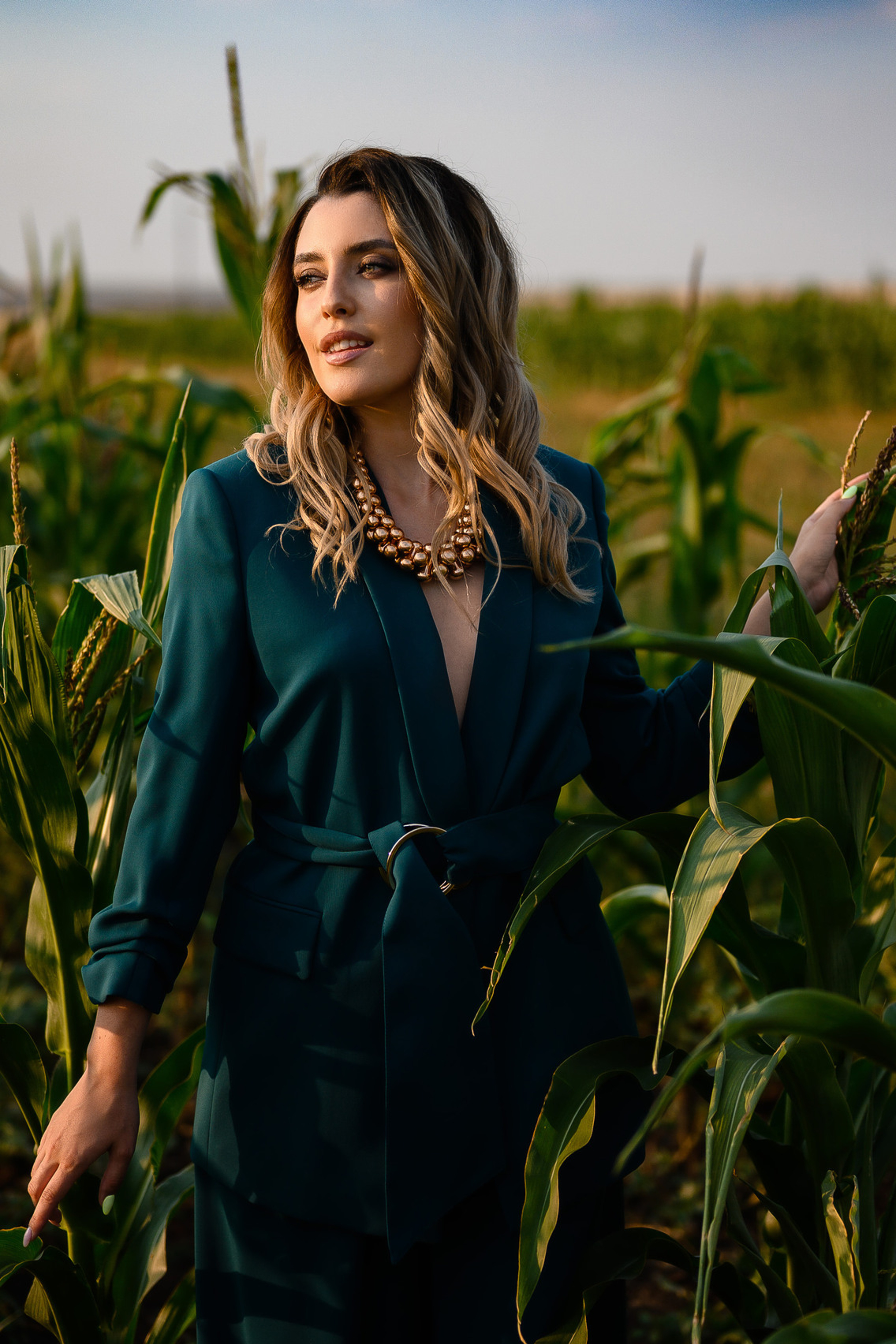 Кукурузное поле