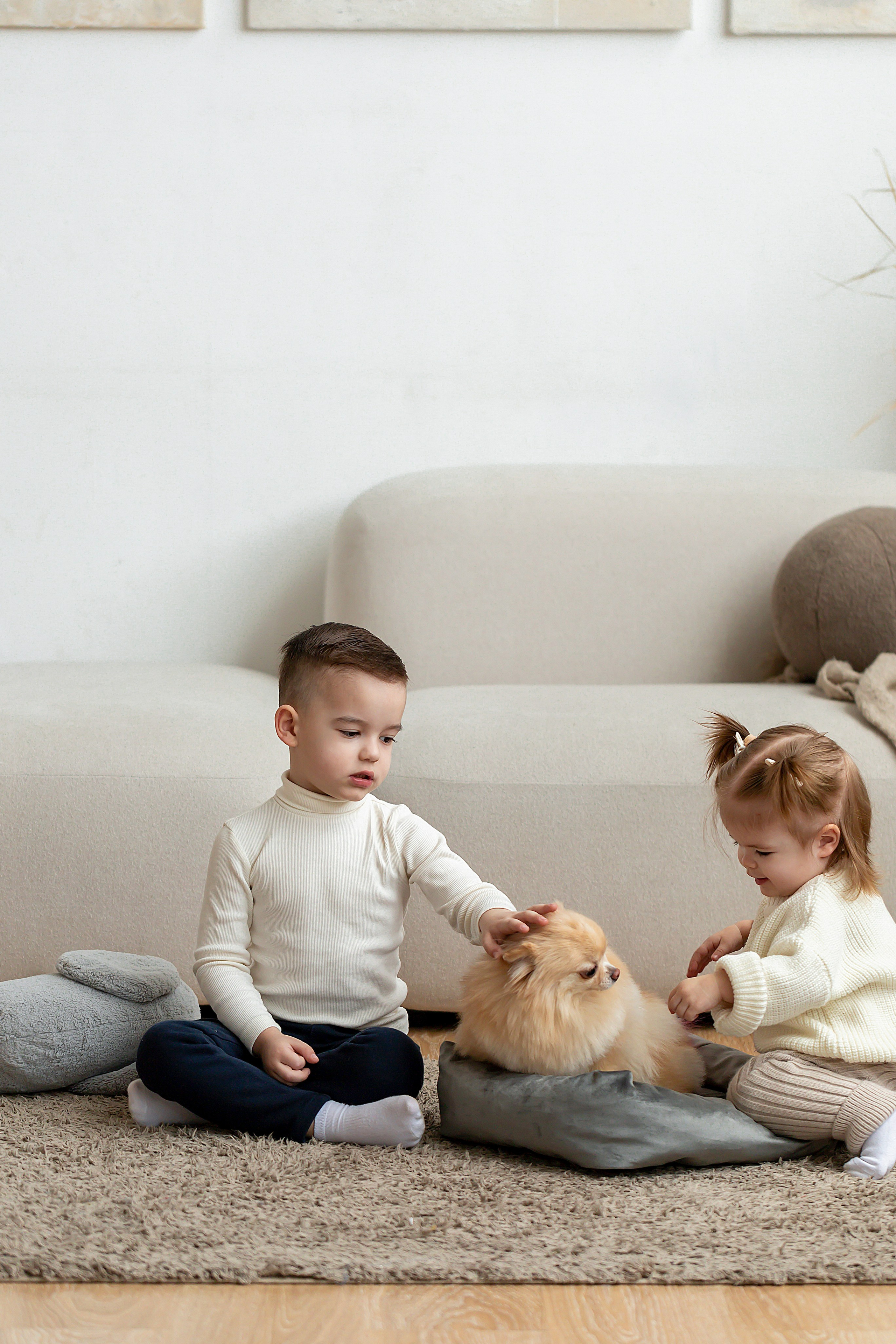 Лежанки для животных