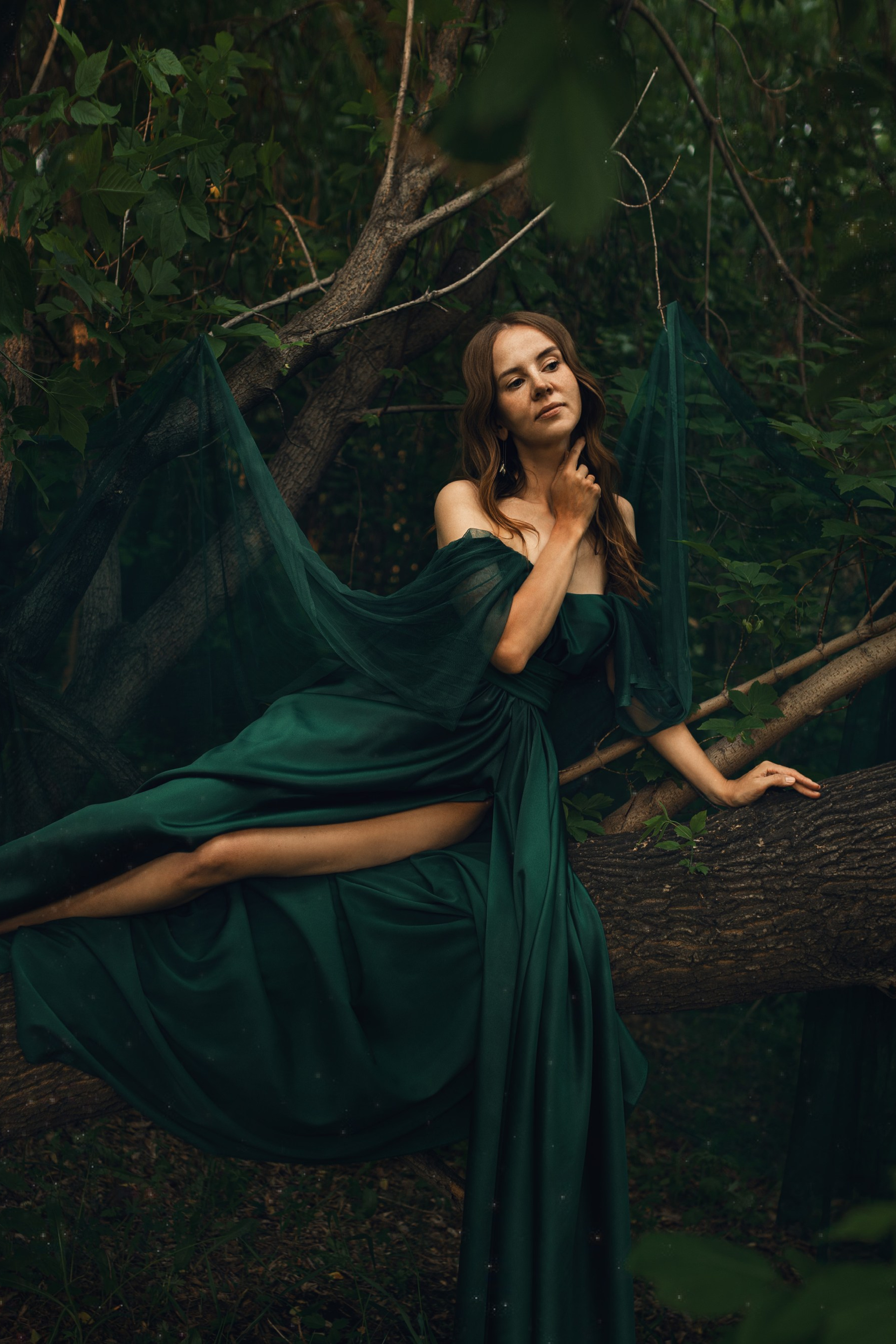 Forests Fairy