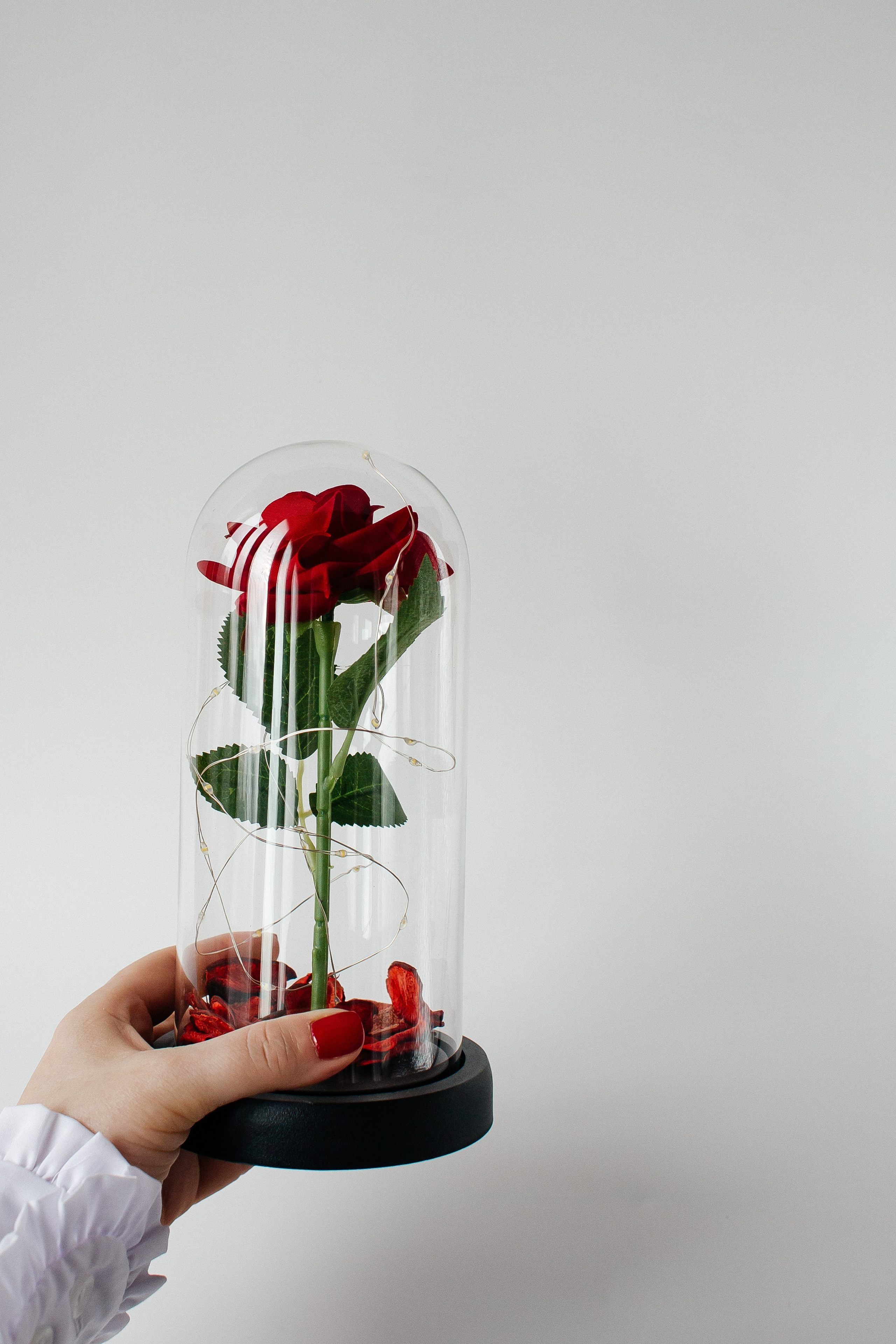 Предметка. Екатерина Макарова Фотограф Москва