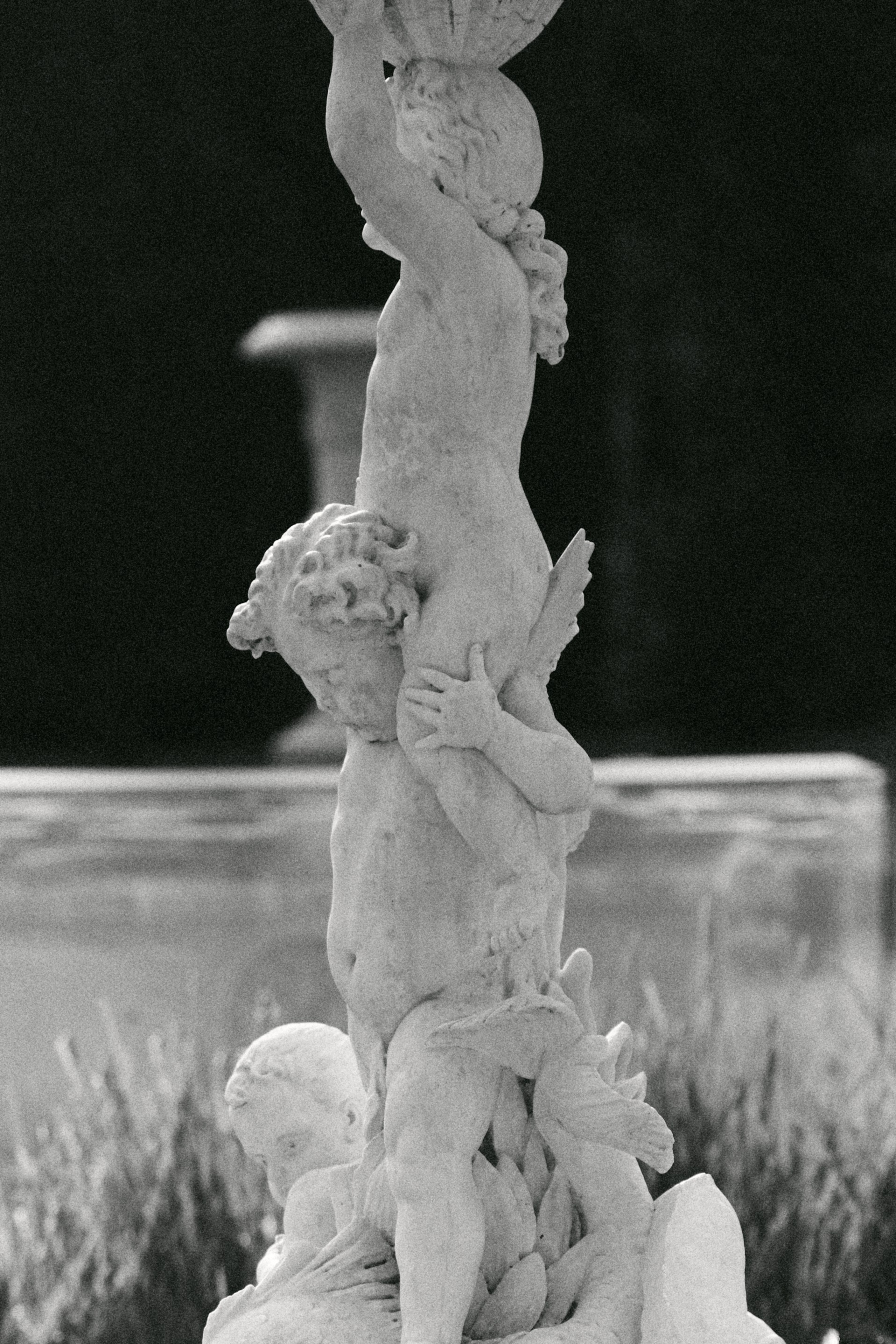 Свадебный фотограф Жучкова Елизавета в Москве