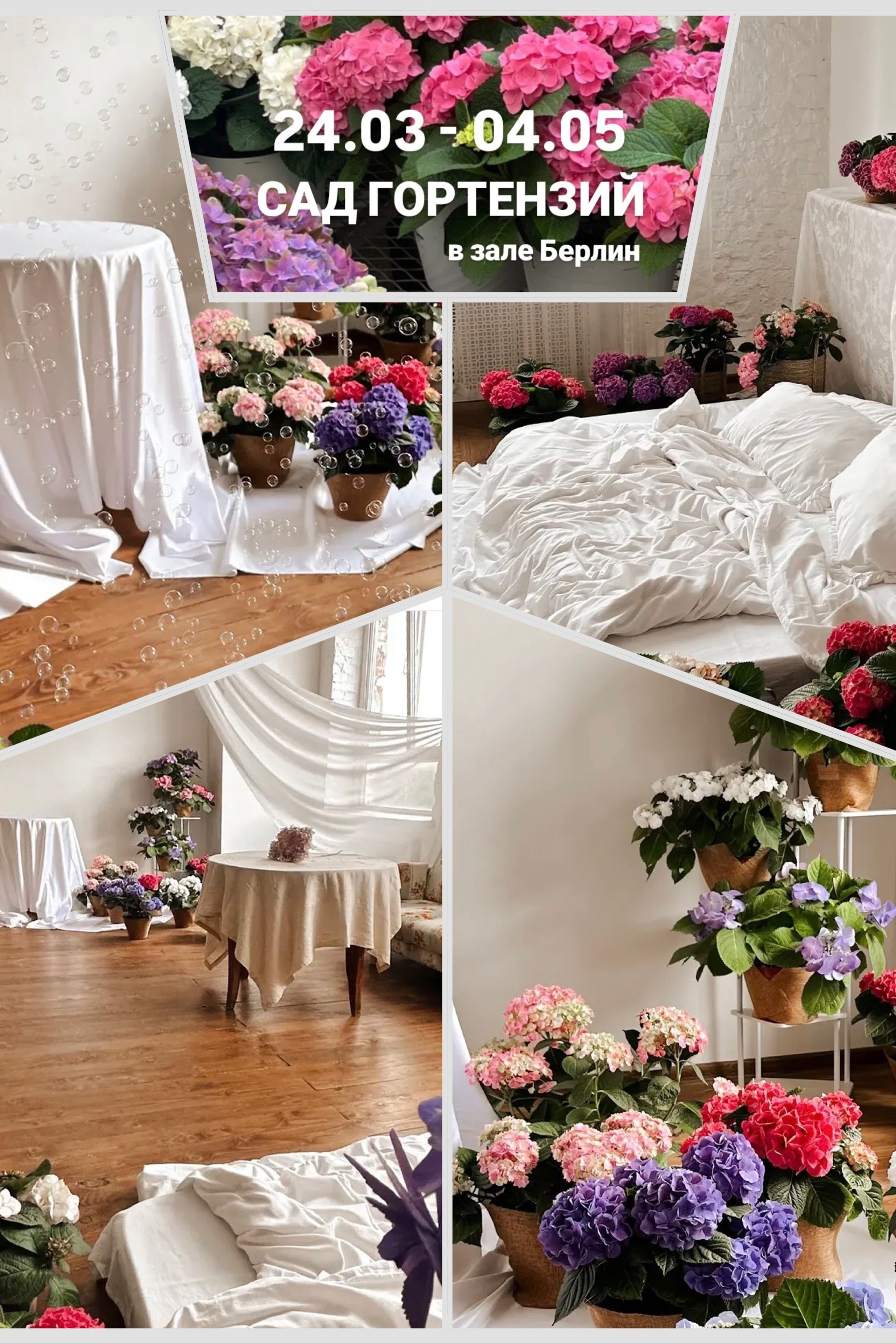 Фотопроекты и фотодни. Фотограф в Краснодаре Татьяна Вижевитова