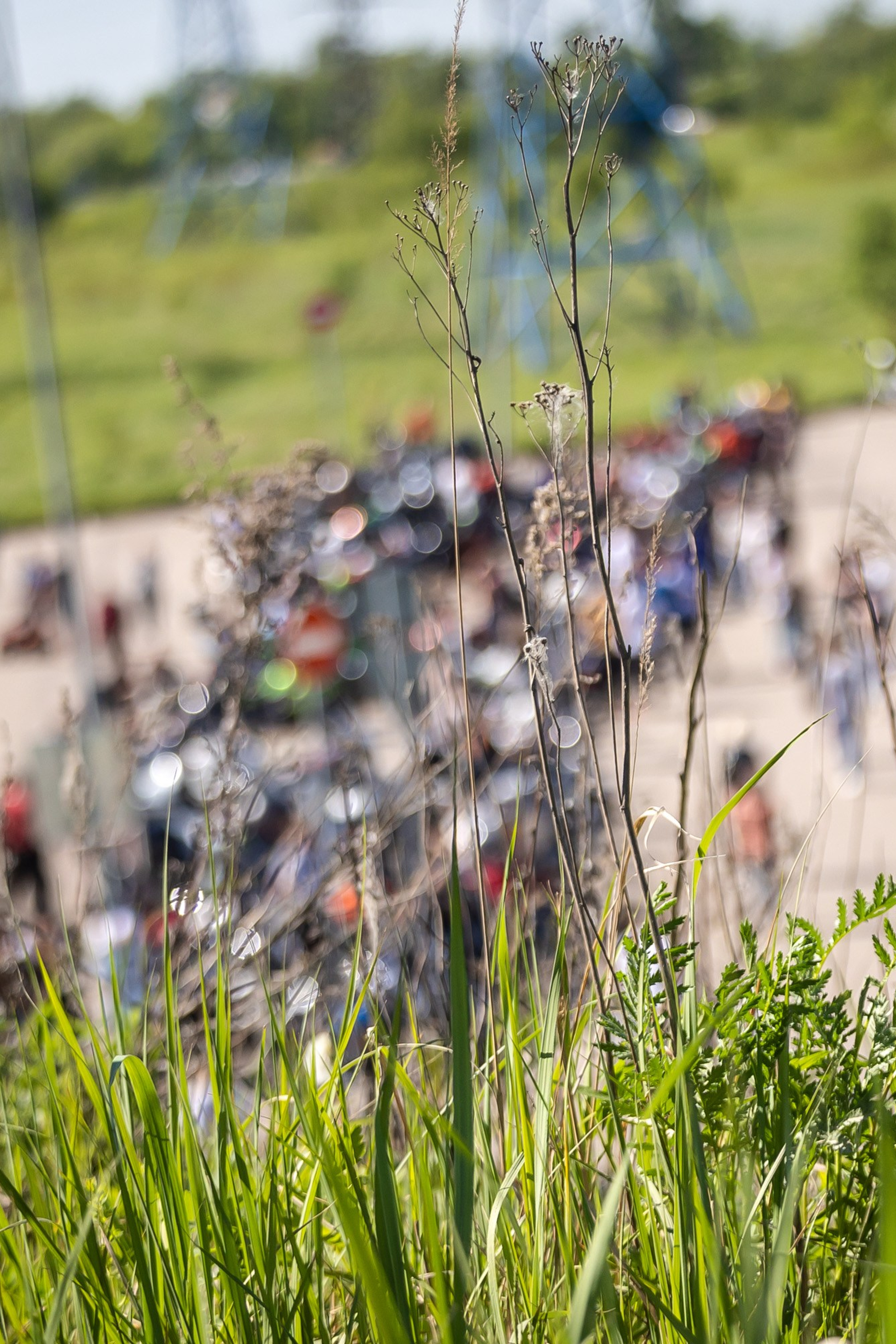 Открытие мотосезона Мотоциклистов г. Домодедово 25.05.24