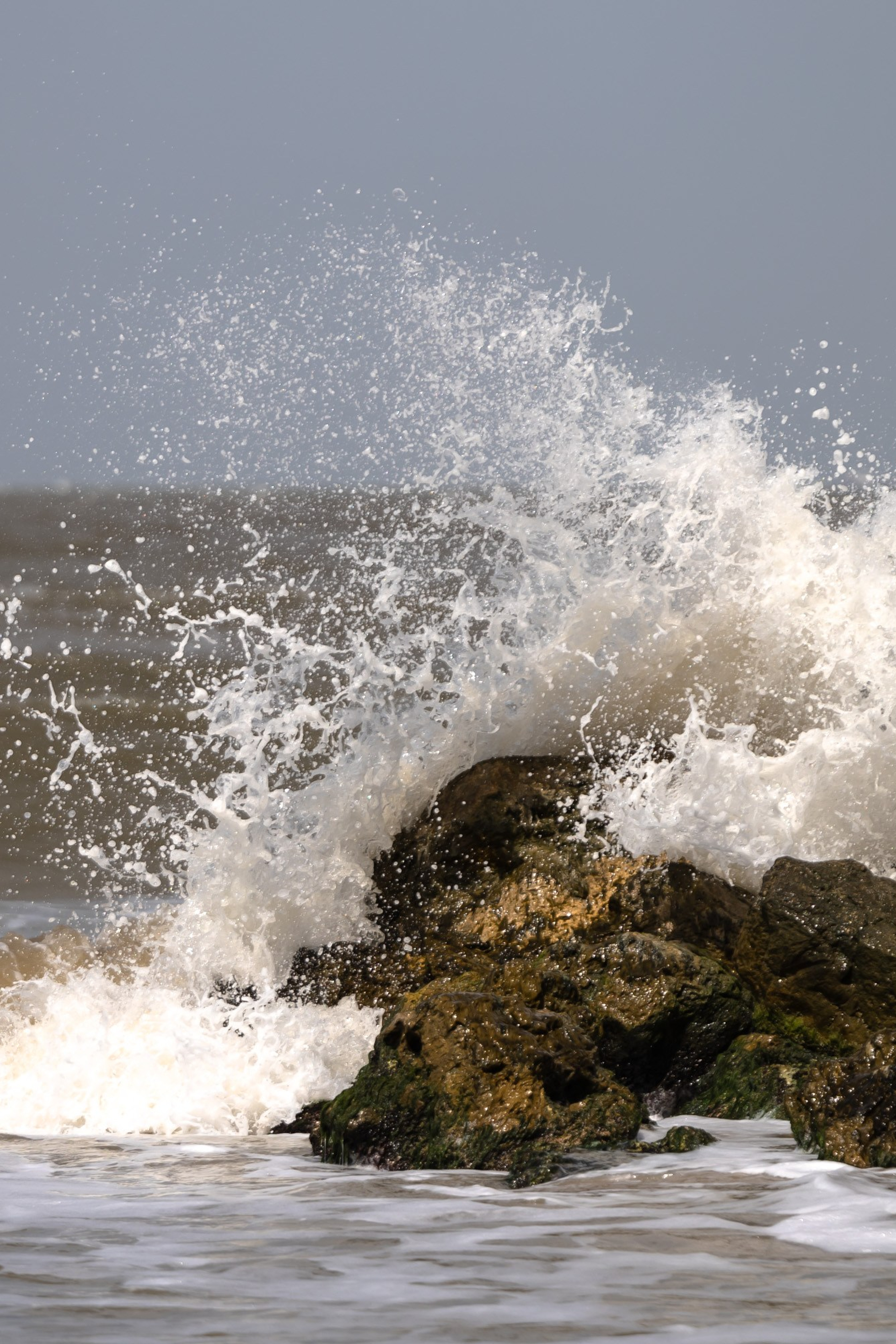 Азовское море