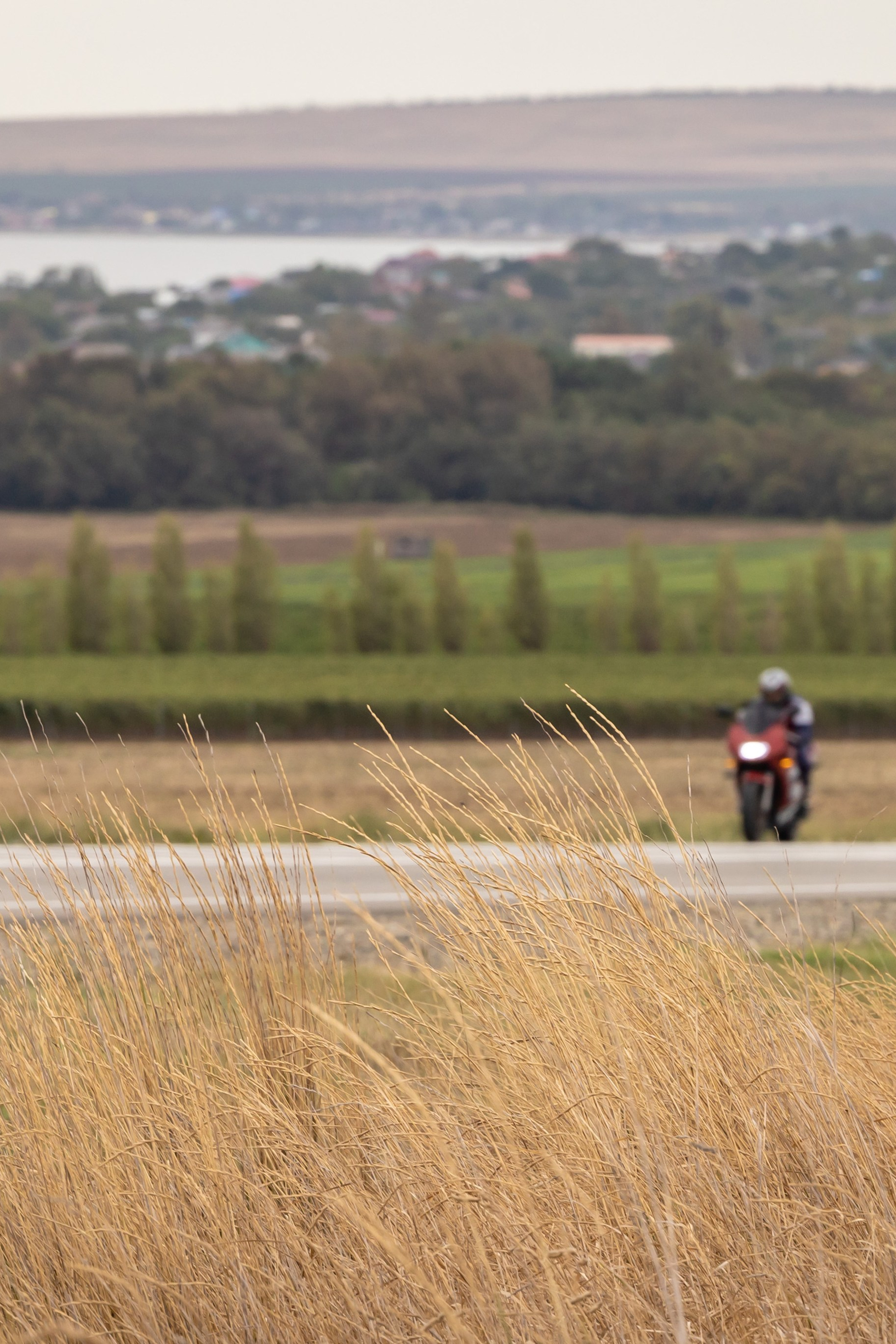 Южное Сафари в Тамани. Сентябрь 2024.