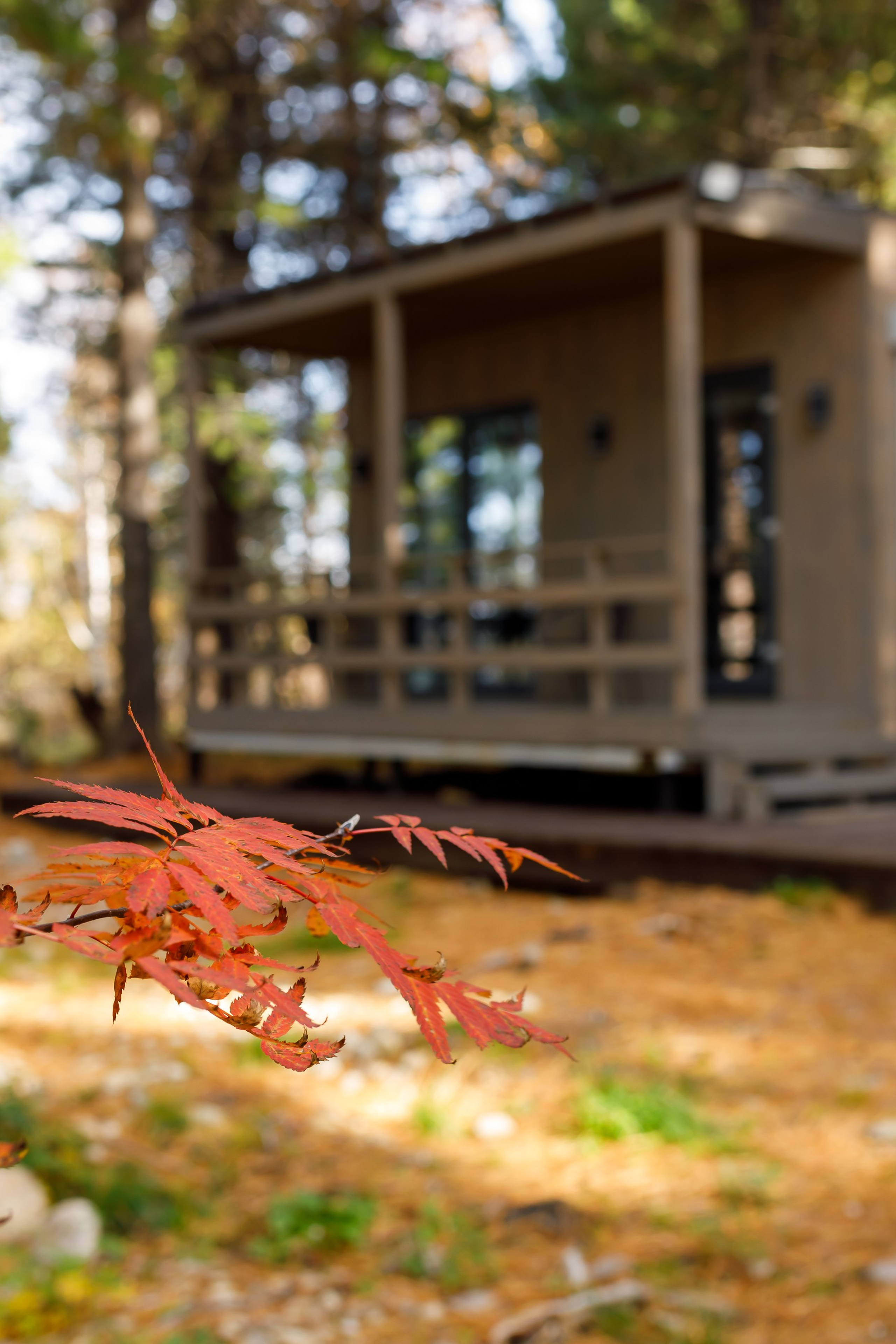 Съемка ресторана Грека Форте. Интерьерный, предметный и контент фотограф в Иркутске Наталья Карпова