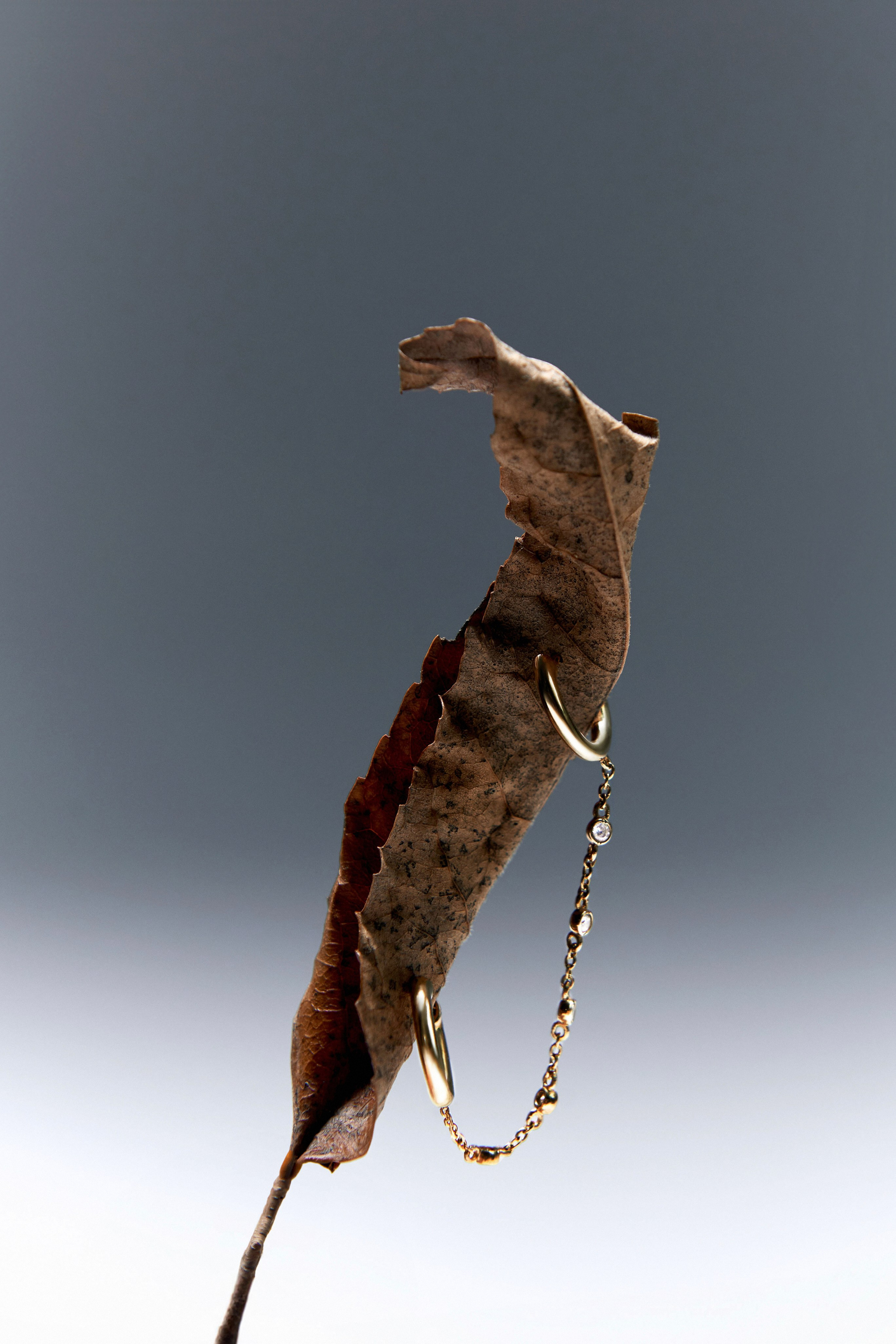 Campaign Dom Bone. Фотограф для брендов в Москве Боталова Евгения