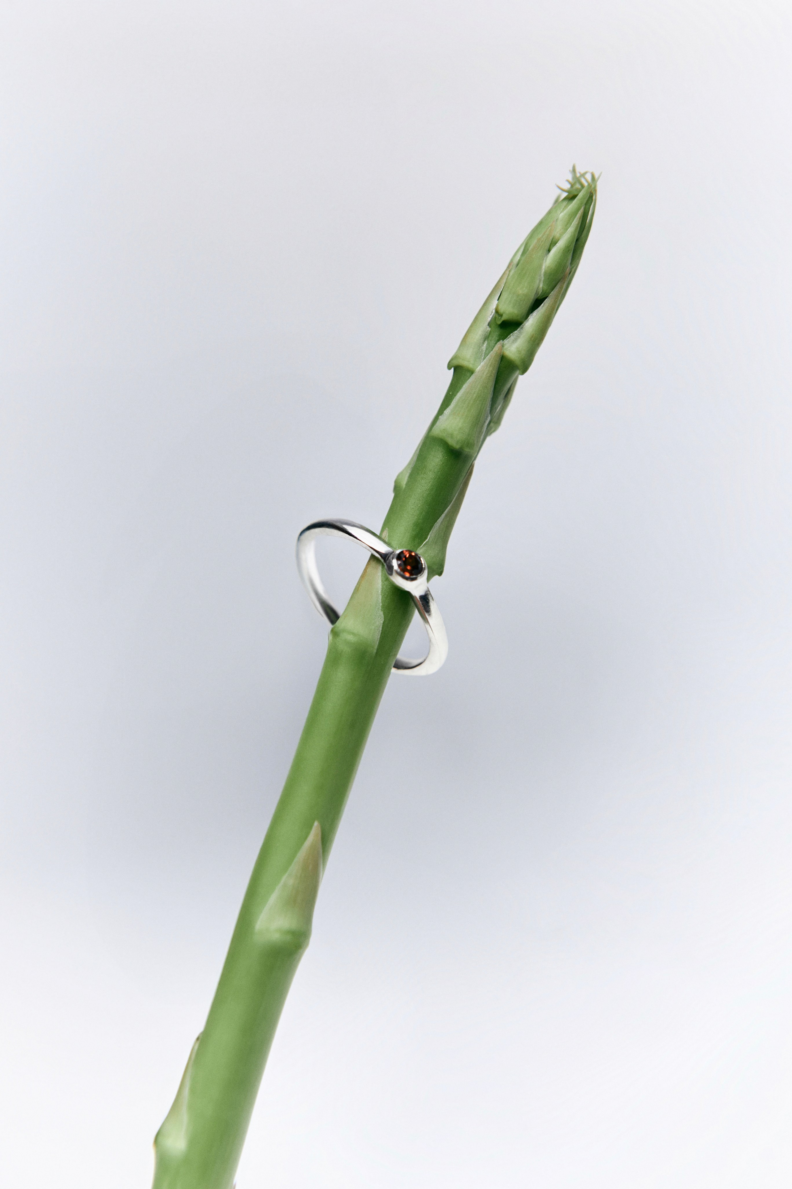 Campaign Dom Bone. Фотограф для брендов в Москве Боталова Евгения