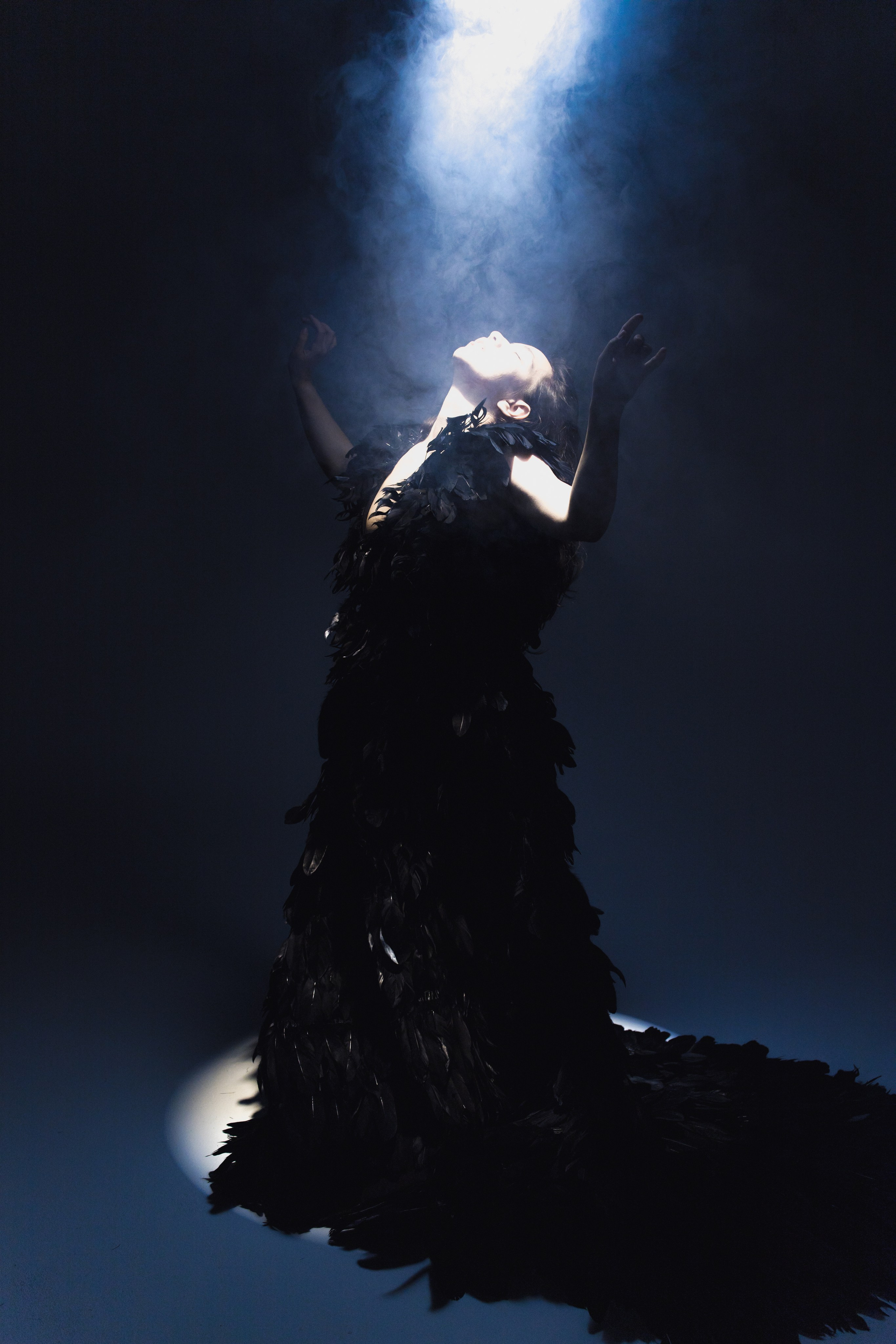 Black swan. Ларионова Виталина. Фотограф и видеограф в Санкт-Петербурге