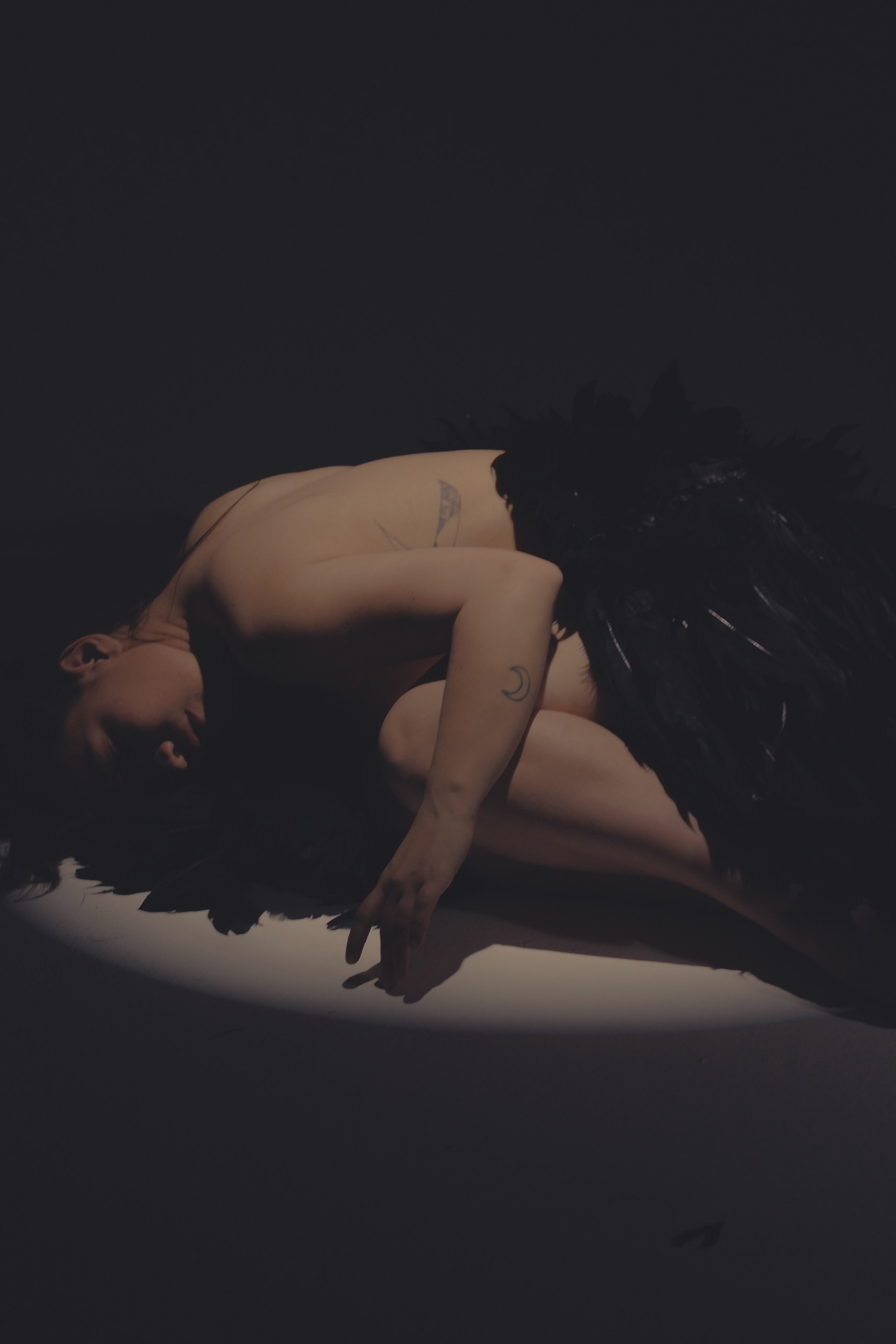 Black swan. Ларионова Виталина. Фотограф и видеограф в Санкт-Петербурге