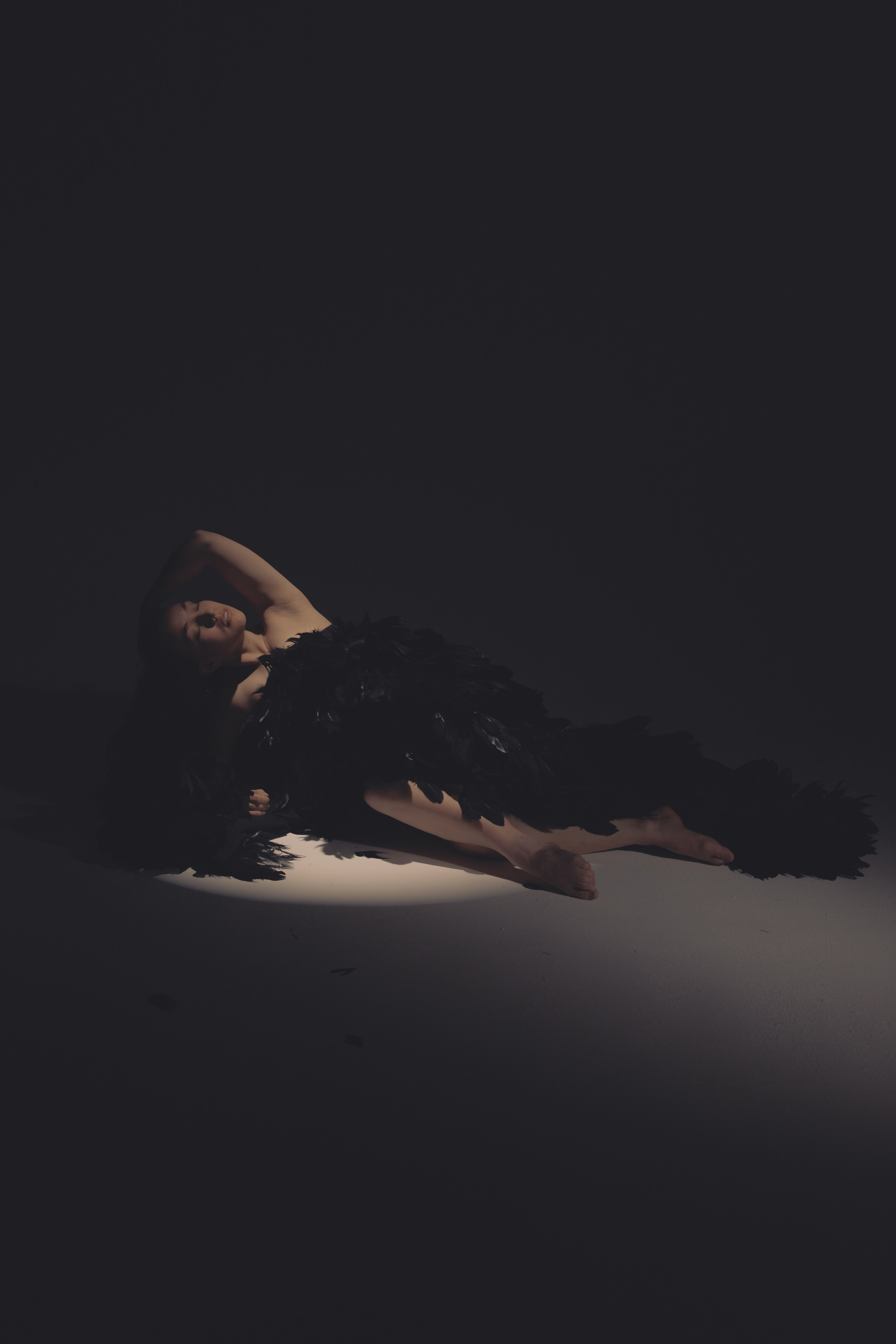 Black swan. Ларионова Виталина. Фотограф и видеограф в Санкт-Петербурге