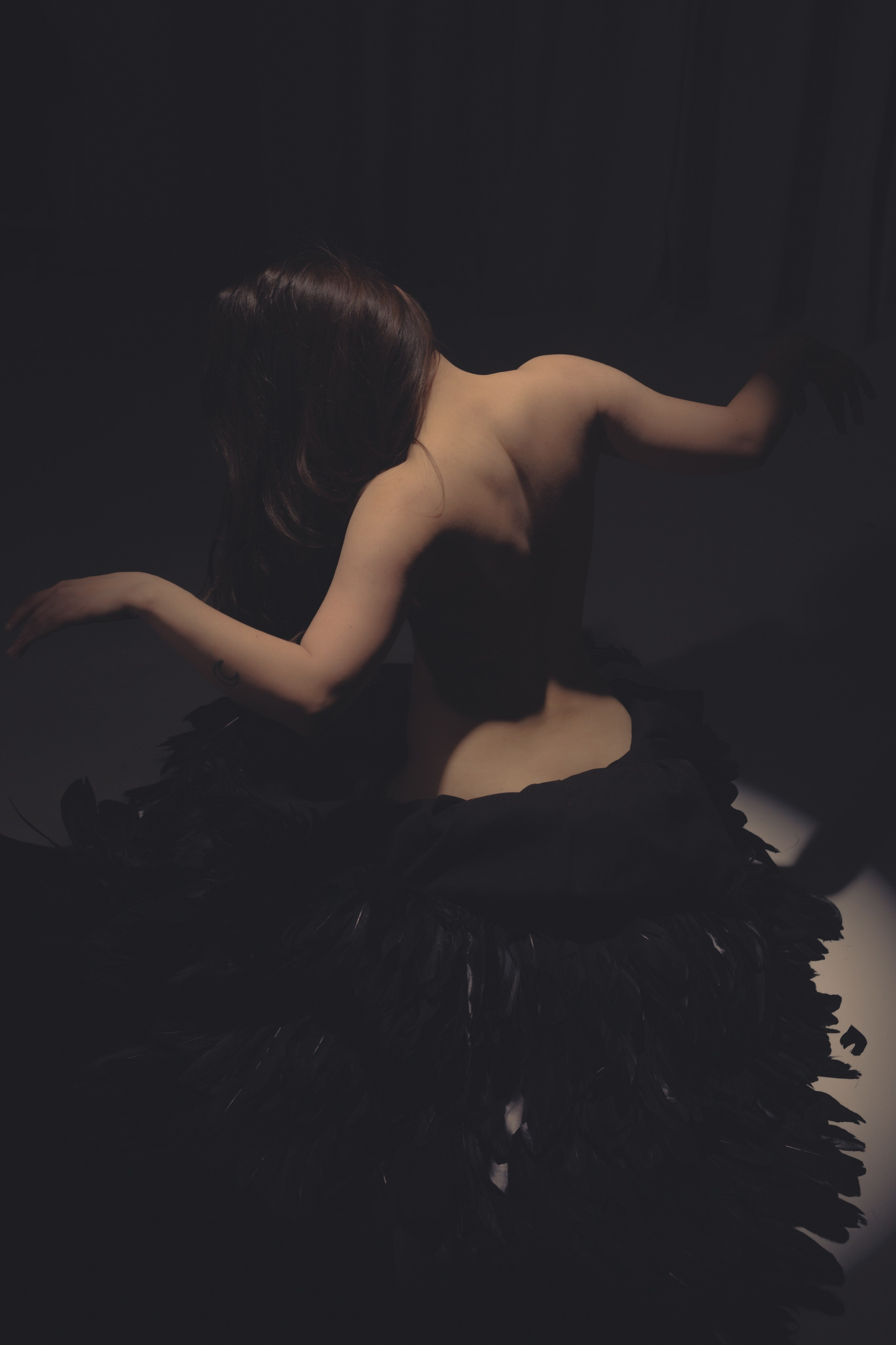 Black swan. Ларионова Виталина. Фотограф и видеограф в Санкт-Петербурге