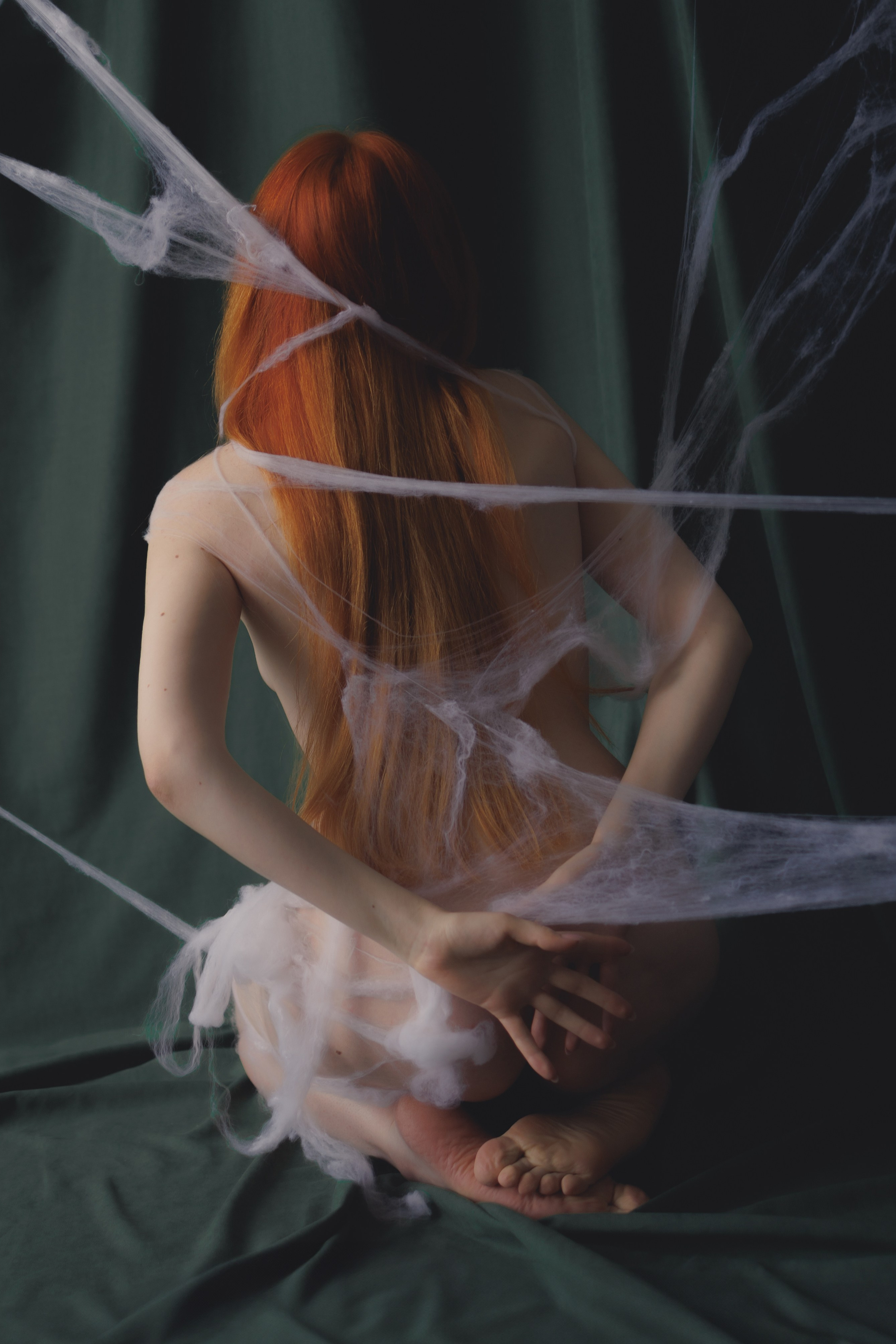 Butterfly in the web. Ларионова Виталина. Фотограф и видеограф в Санкт-Петербурге