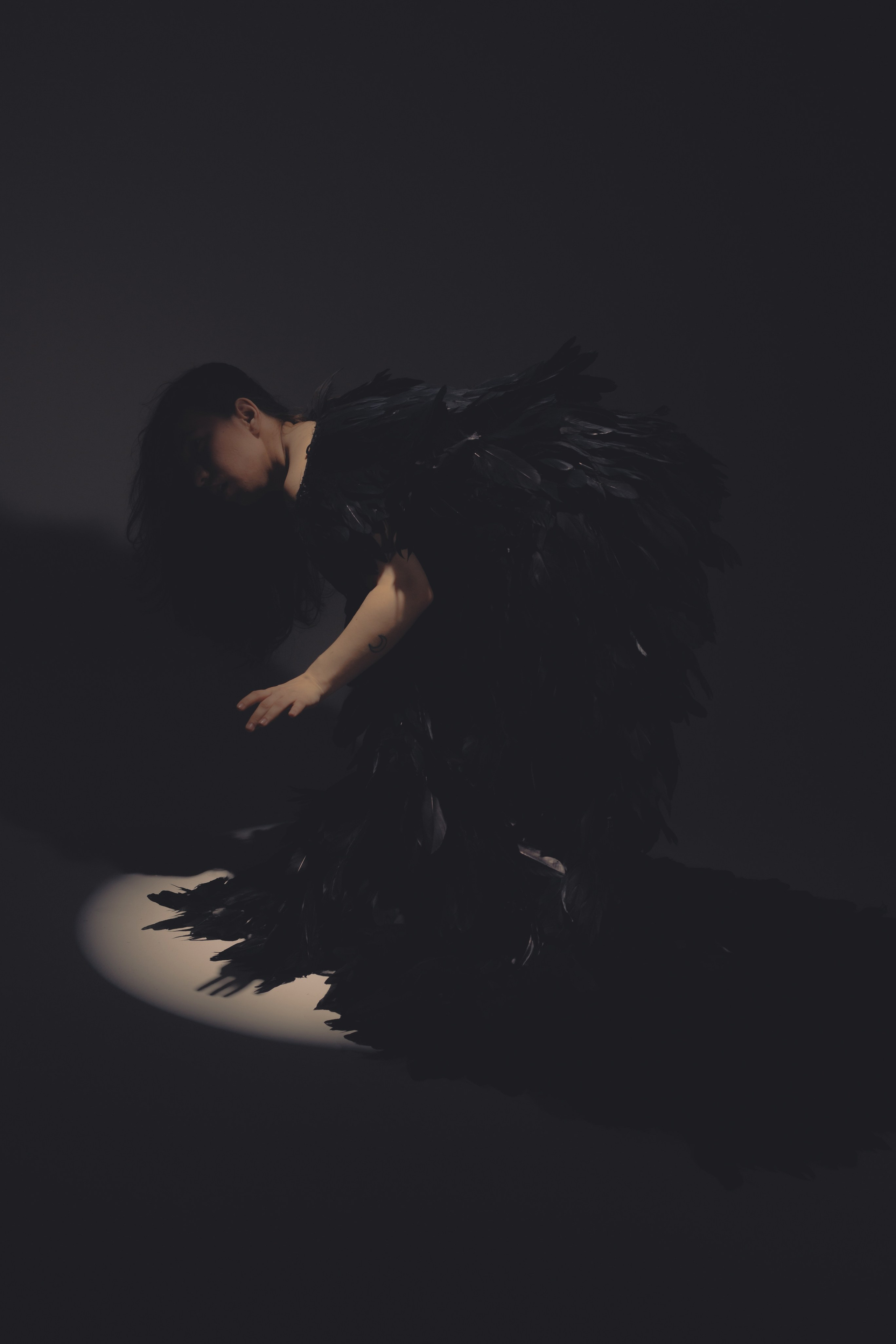 Black swan. Ларионова Виталина. Фотограф и видеограф в Санкт-Петербурге