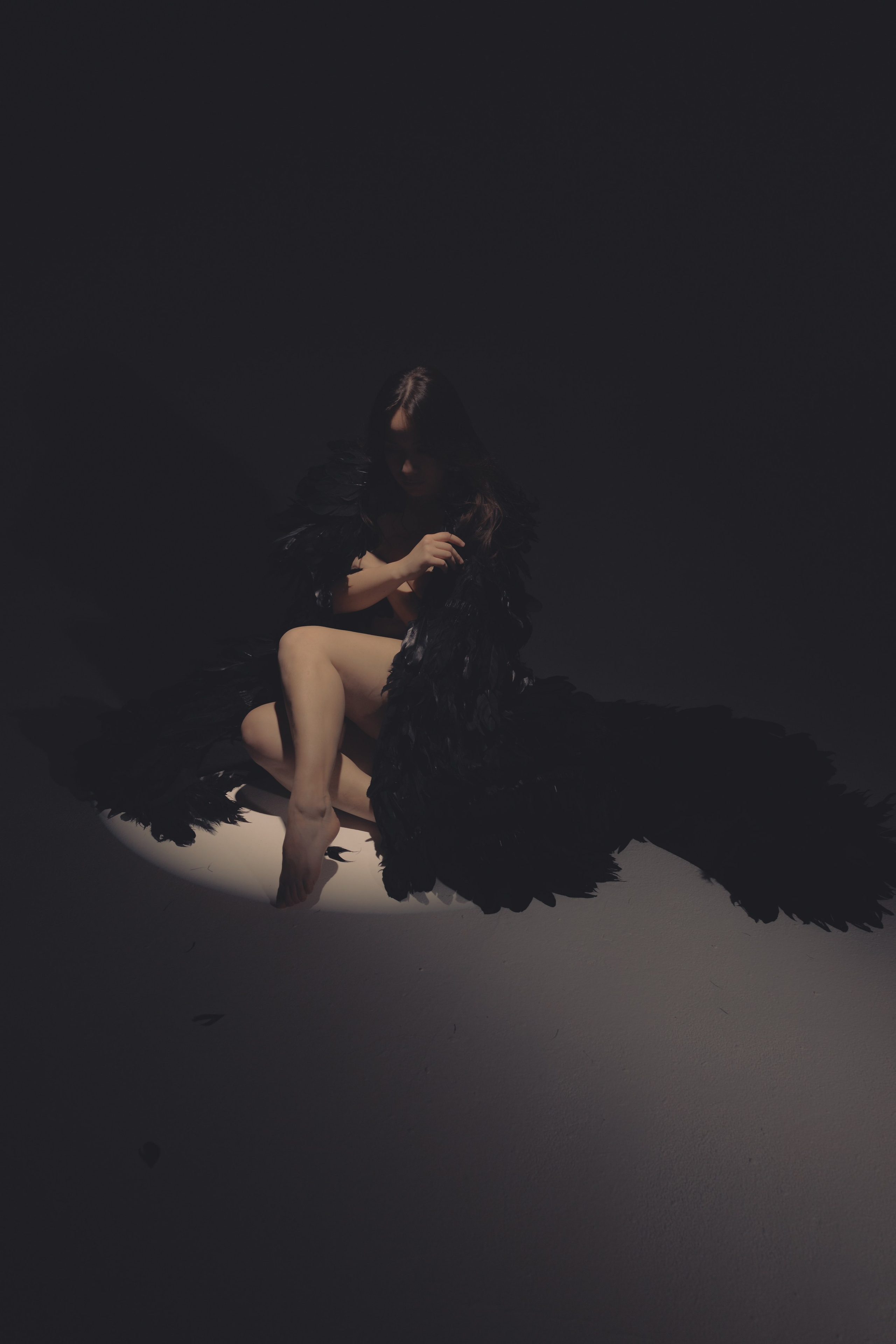 Black swan. Ларионова Виталина. Фотограф и видеограф в Санкт-Петербурге