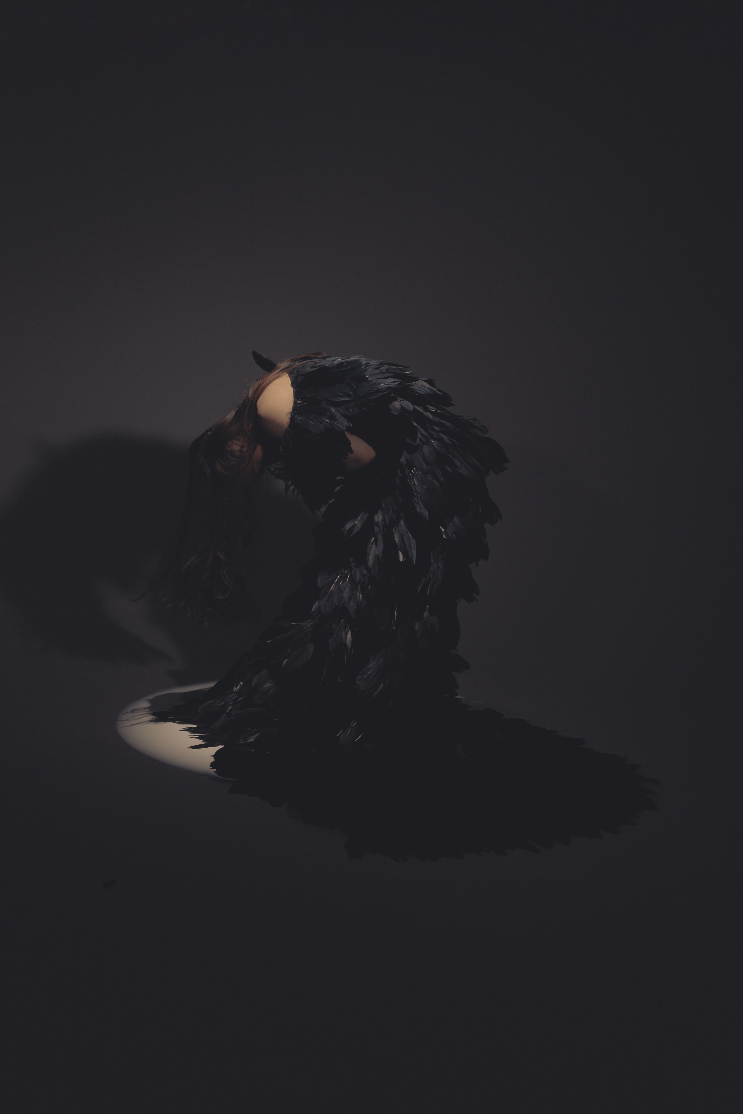 Black swan. Ларионова Виталина. Фотограф и видеограф в Санкт-Петербурге