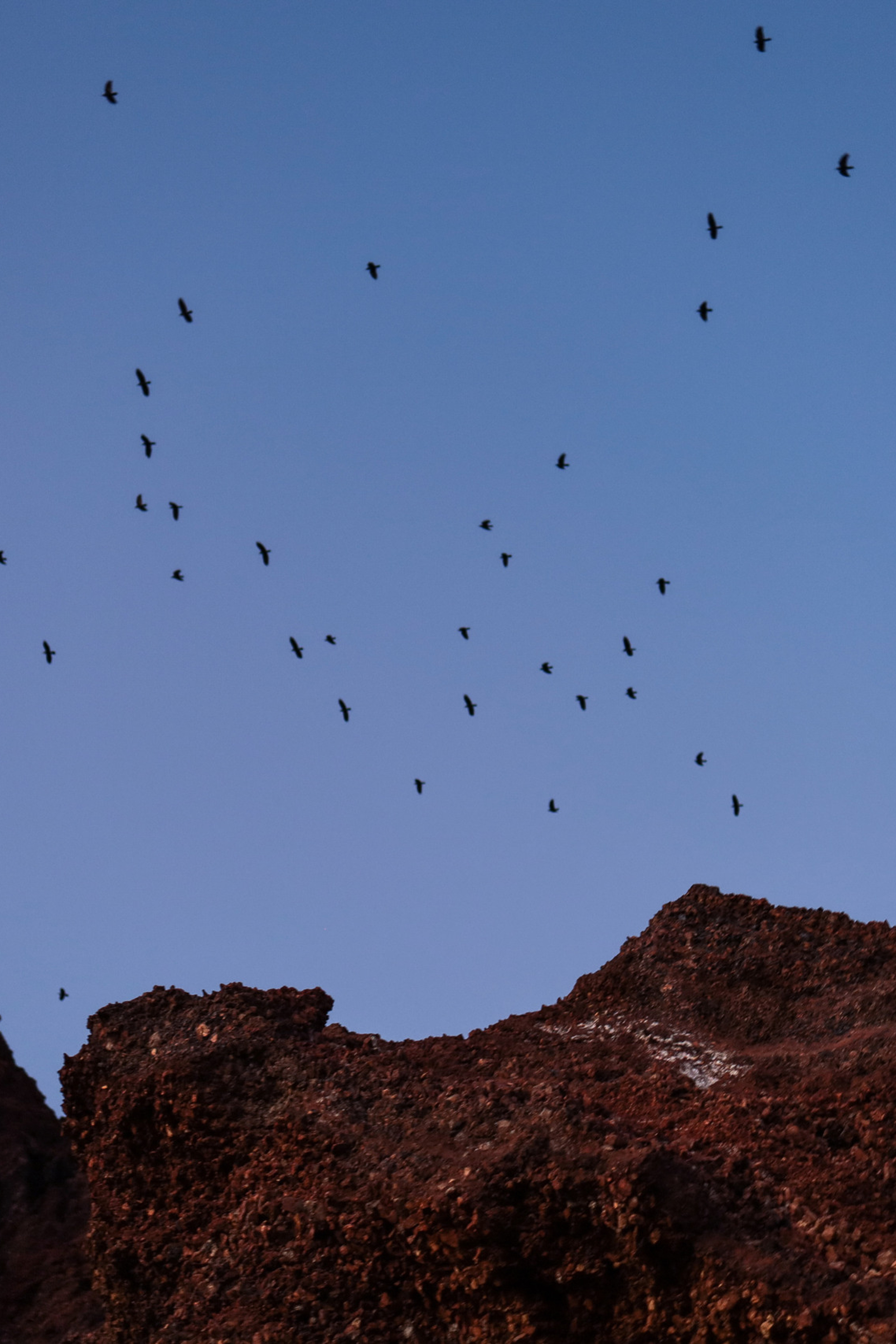 Martian. Ларионова Виталина. Фотограф и видеограф в Санкт-Петербурге