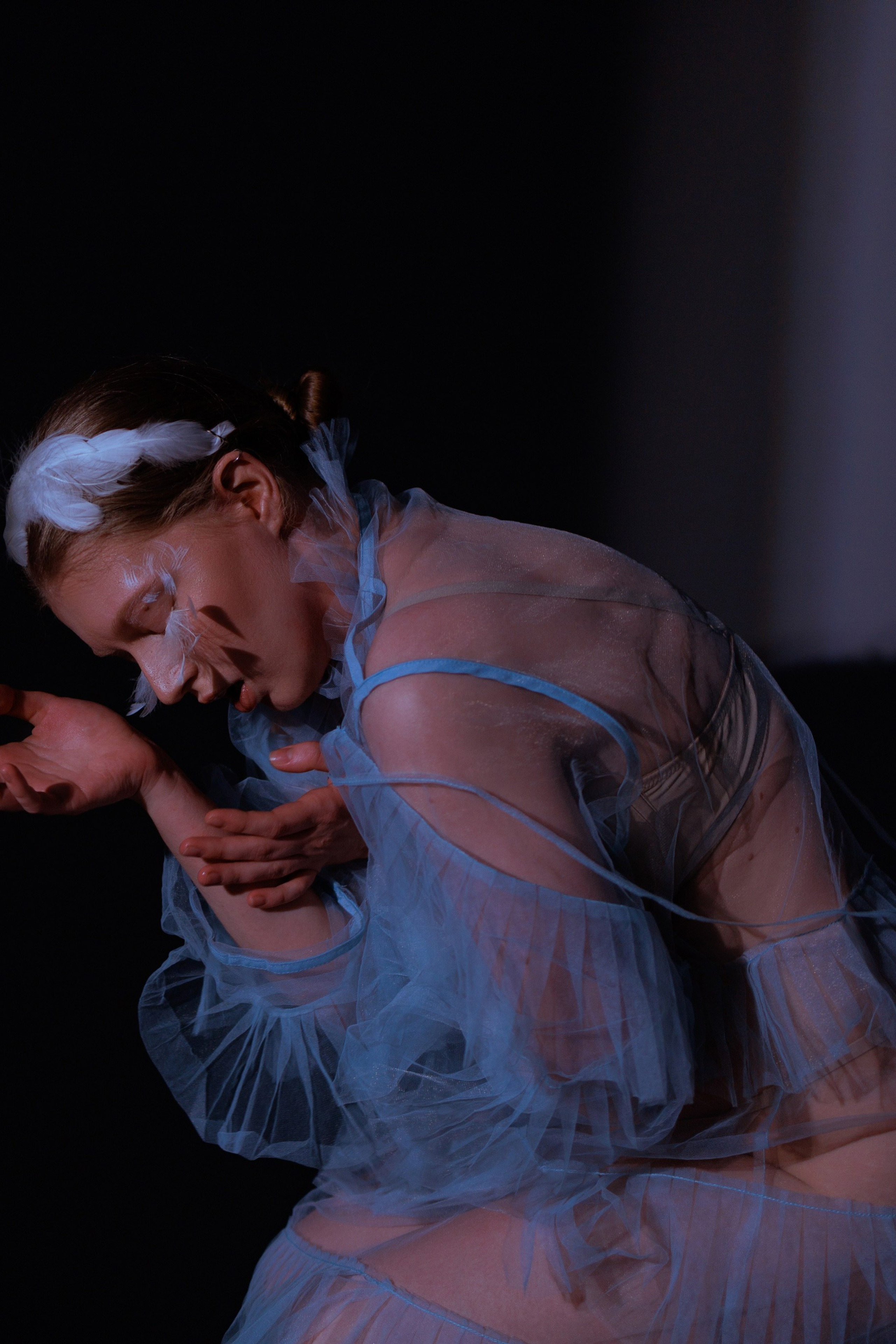 Blue wings. Ларионова Виталина. Фотограф и видеограф в Санкт-Петербурге