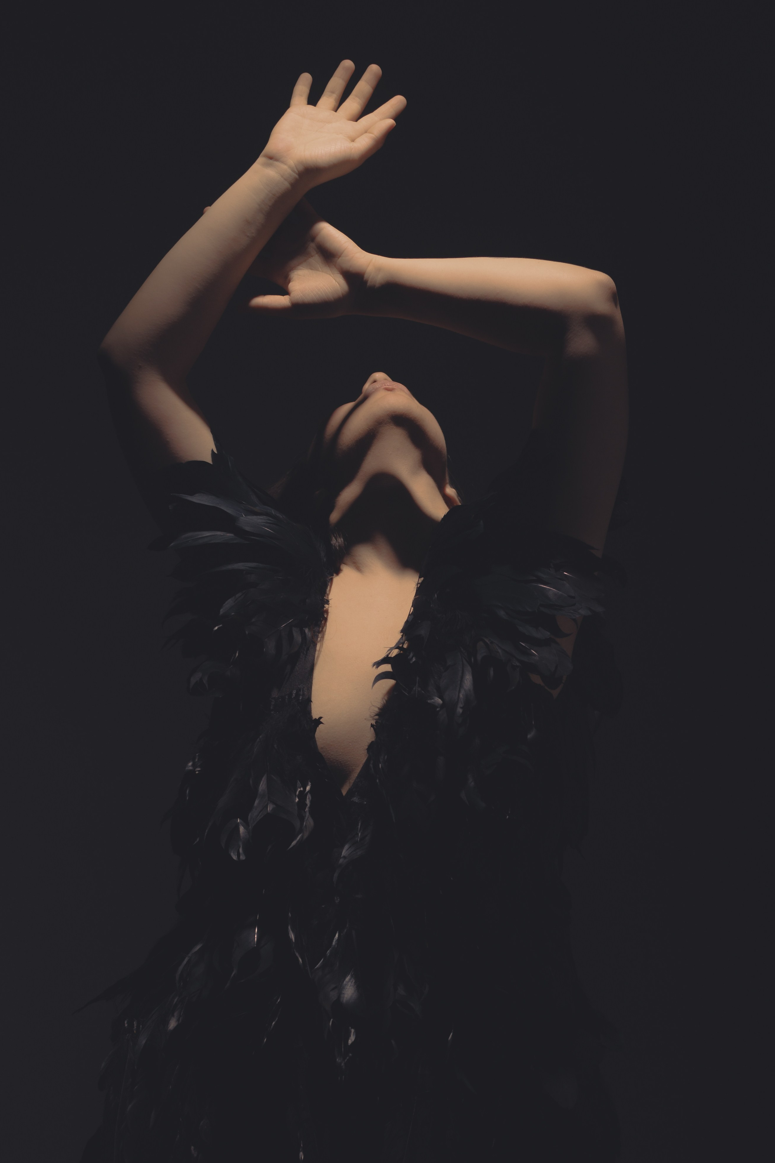 Black swan. Ларионова Виталина. Фотограф и видеограф в Санкт-Петербурге