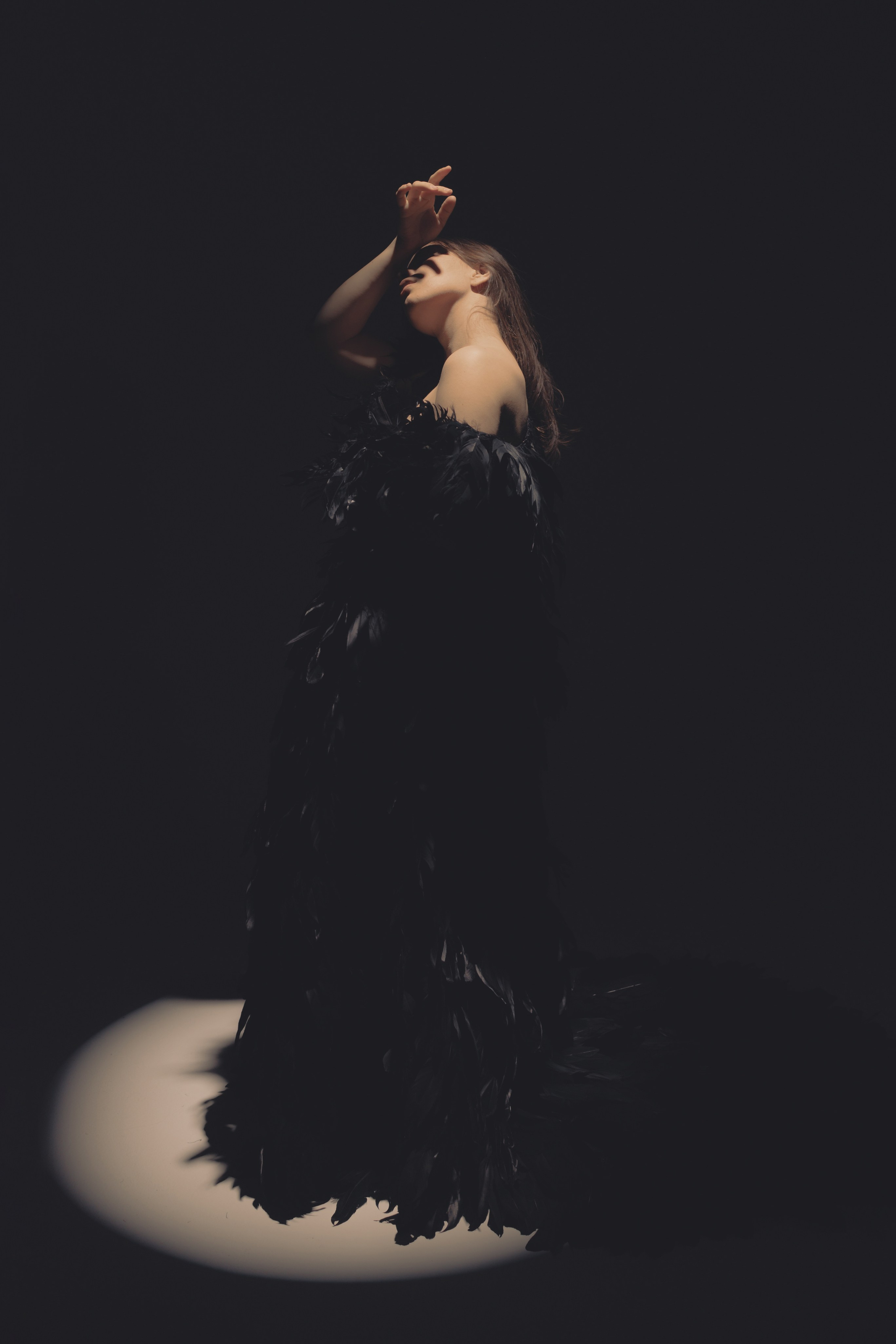 Black swan. Ларионова Виталина. Фотограф и видеограф в Санкт-Петербурге