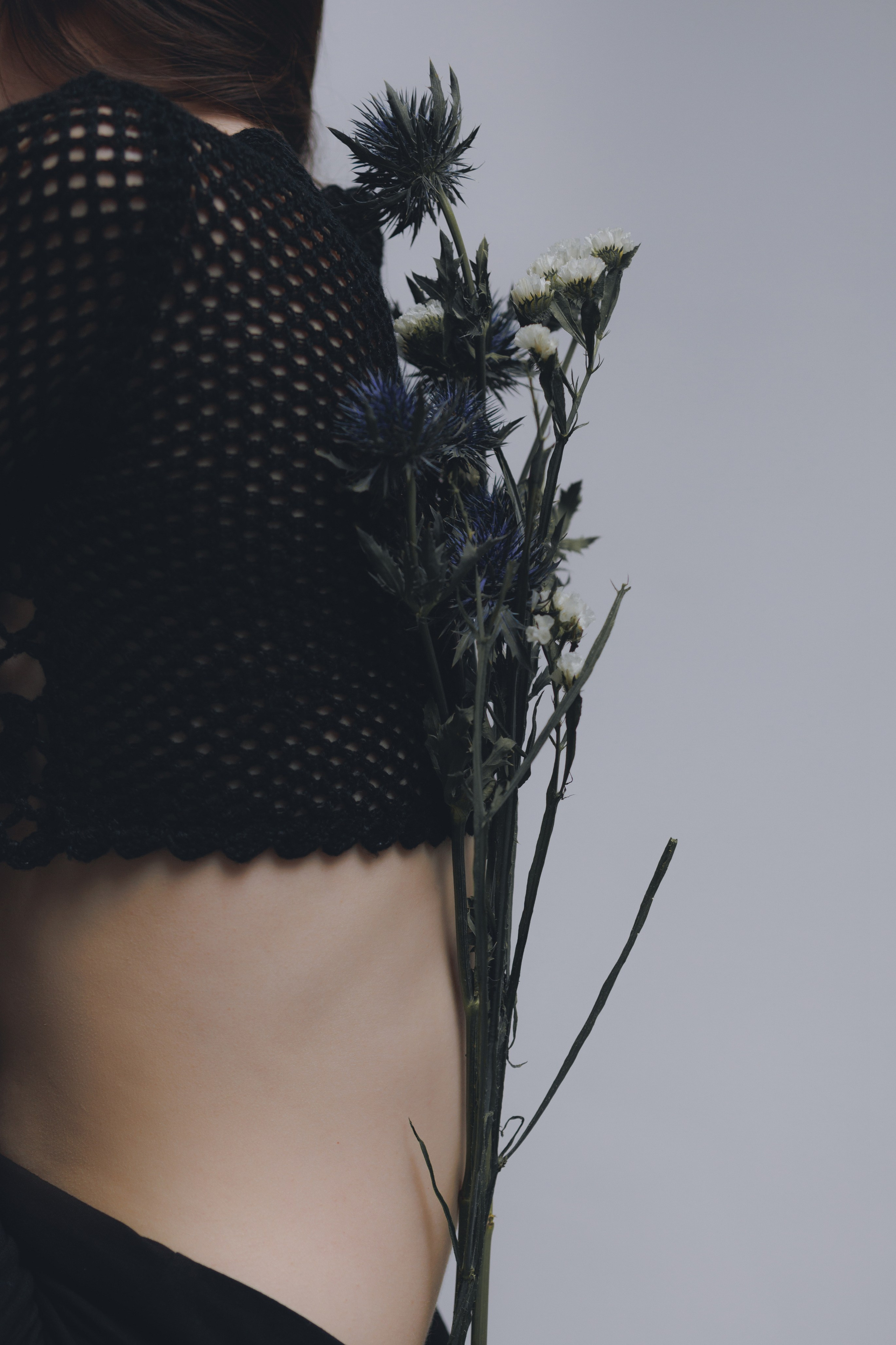 Blue Erýngium. Ларионова Виталина. Фотограф и видеограф в Санкт-Петербурге