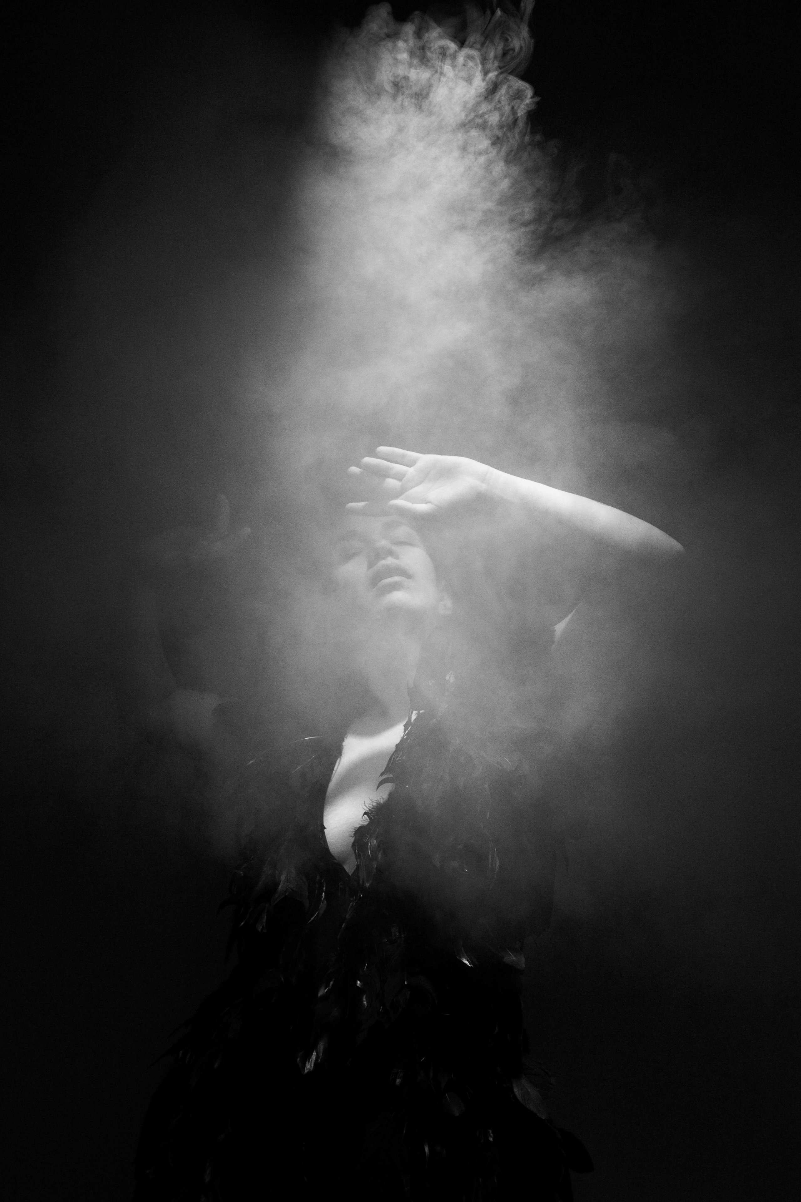 Black swan. Ларионова Виталина. Фотограф и видеограф в Санкт-Петербурге