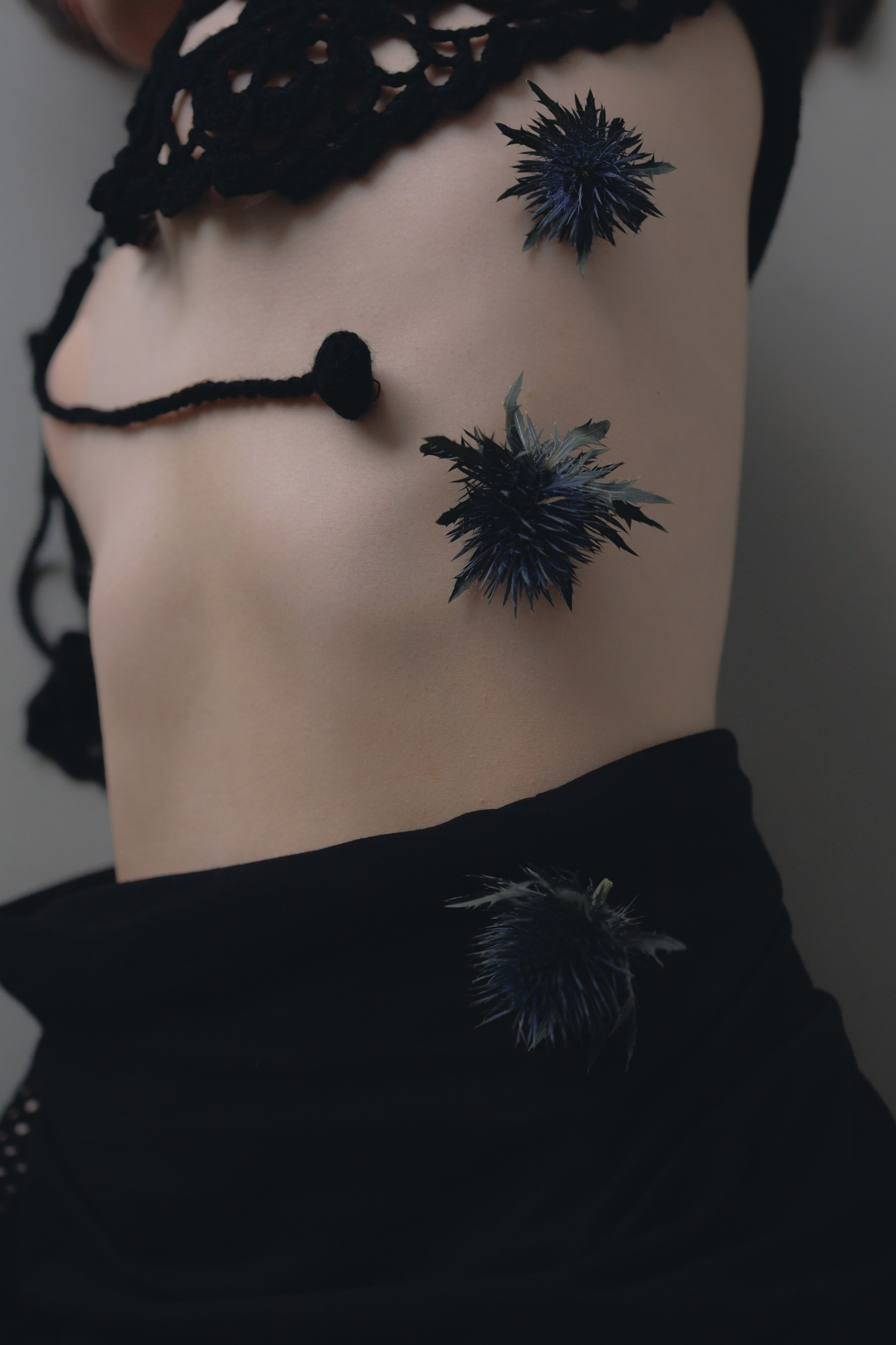 Blue Erýngium. Ларионова Виталина. Фотограф и видеограф в Санкт-Петербурге