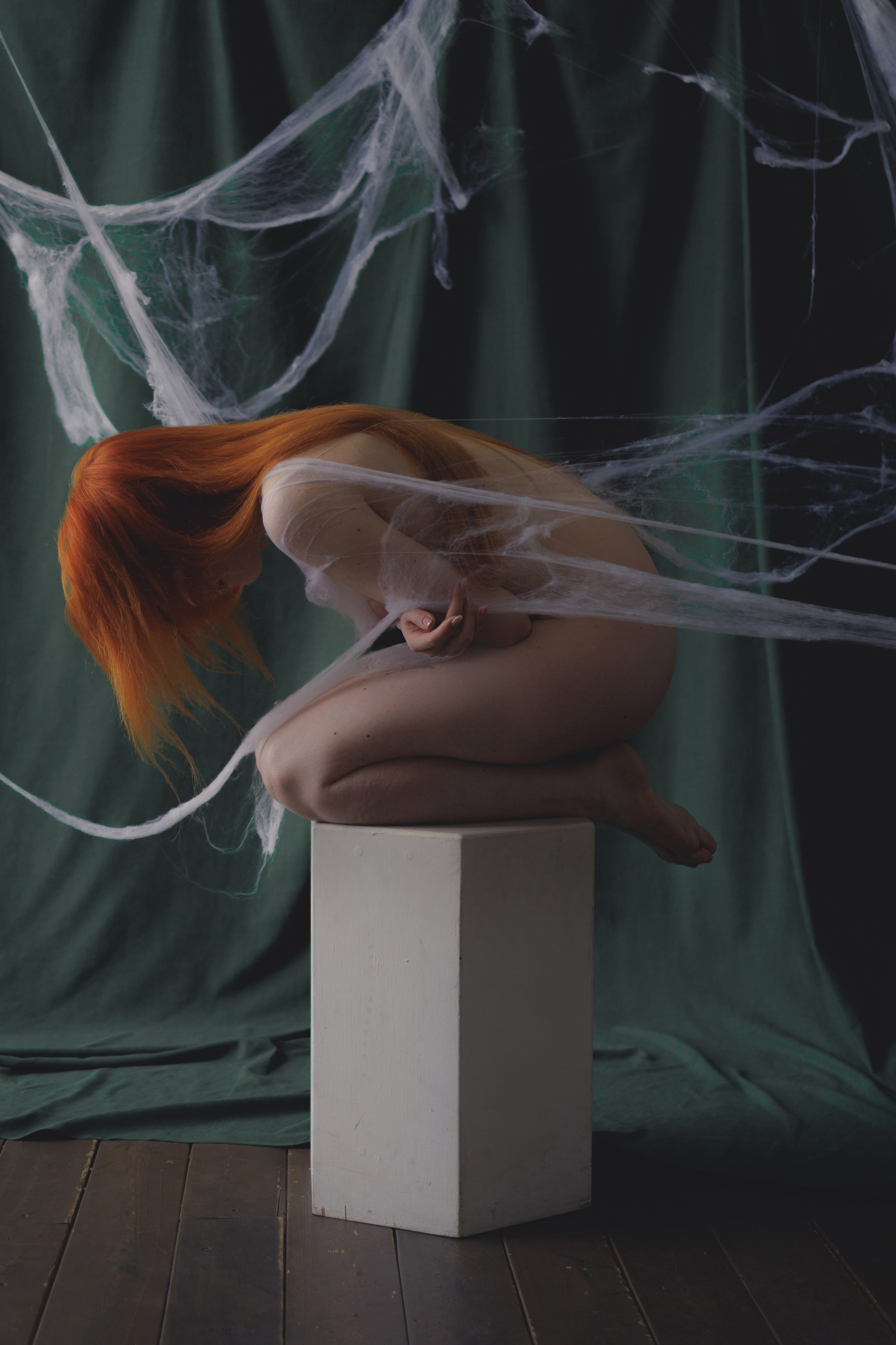 Butterfly in the web. Ларионова Виталина. Фотограф и видеограф в Санкт-Петербурге