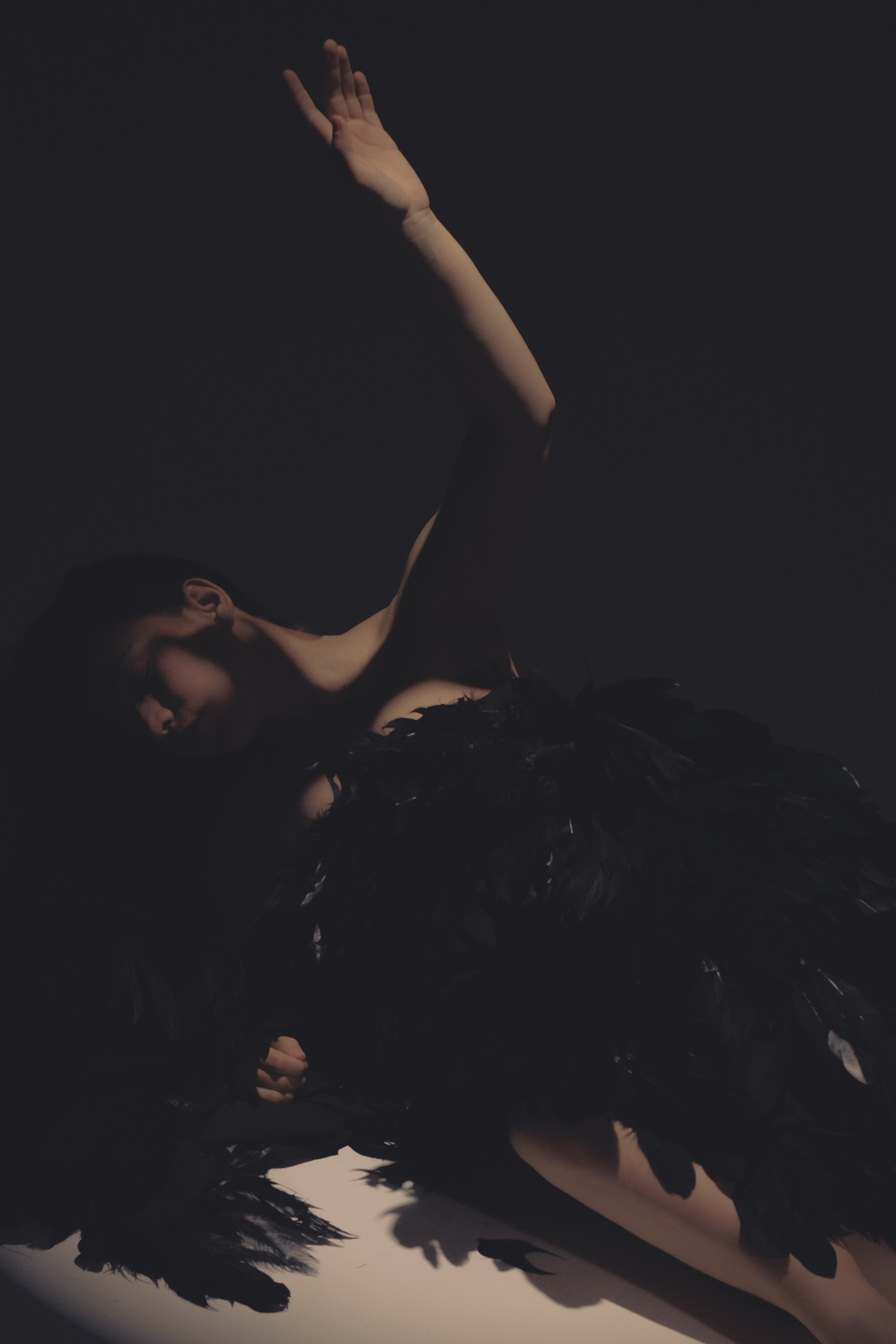 Black swan. Ларионова Виталина. Фотограф и видеограф в Санкт-Петербурге