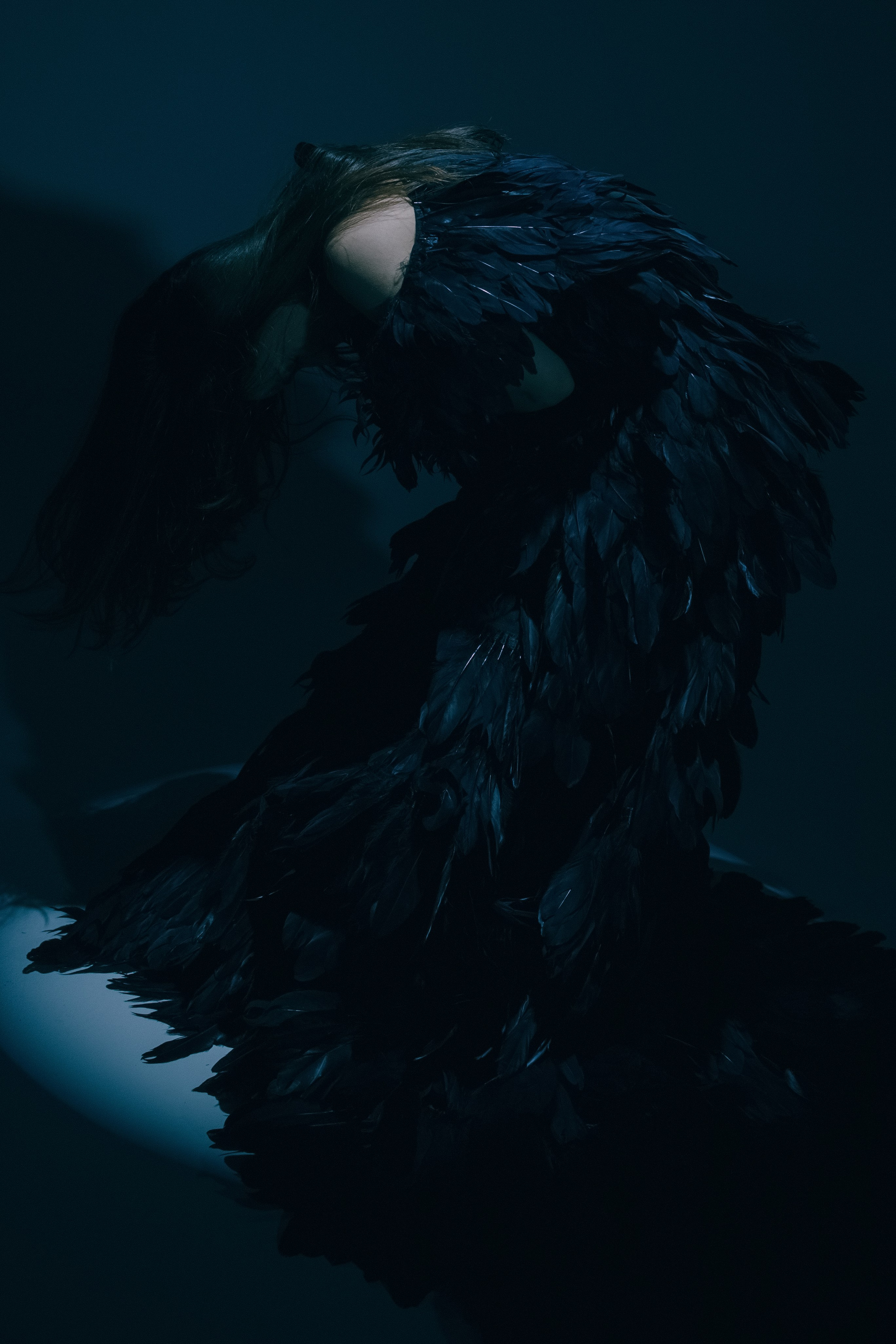 Black swan. Ларионова Виталина. Фотограф и видеограф в Санкт-Петербурге