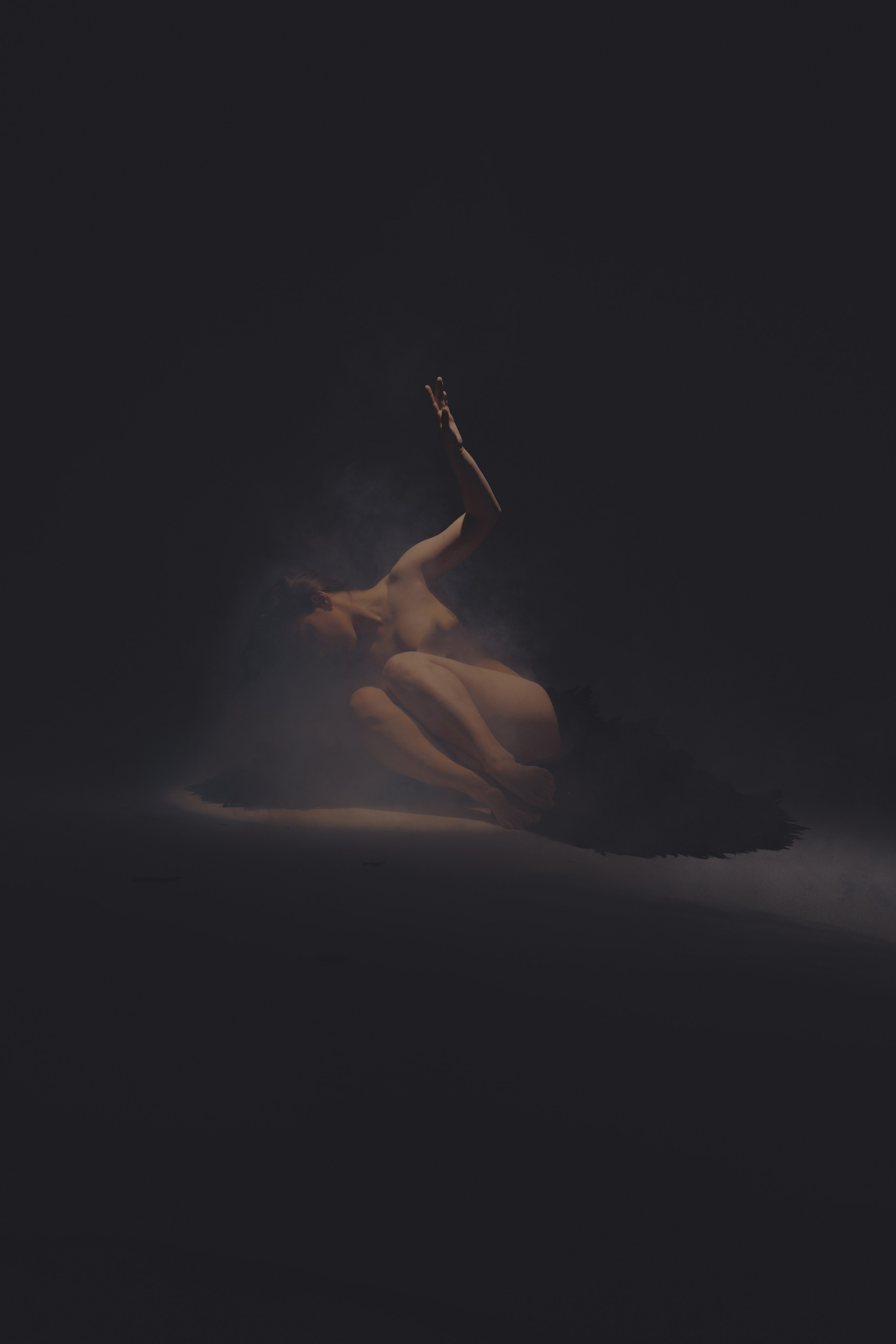 Black swan. Ларионова Виталина. Фотограф и видеограф в Санкт-Петербурге