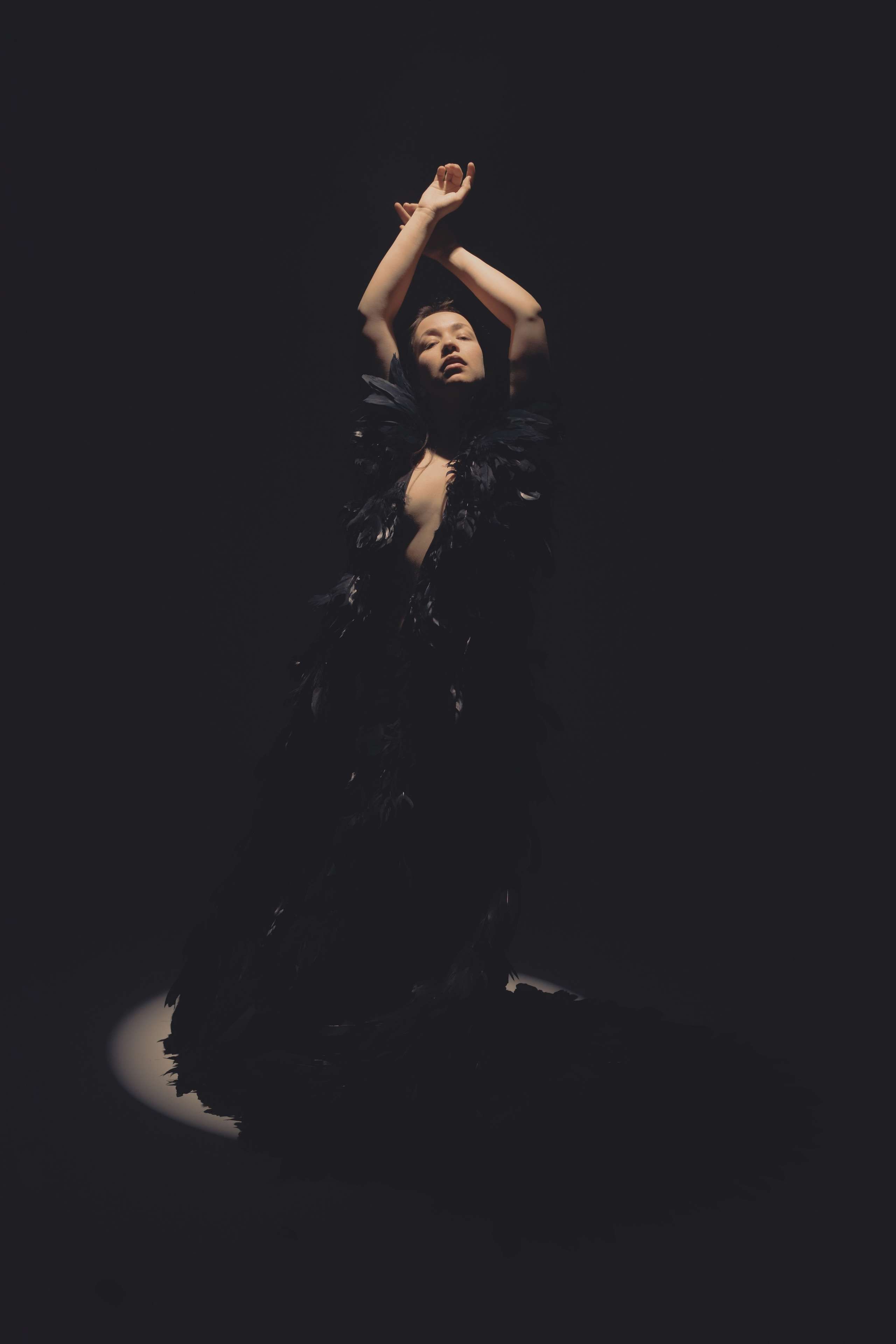 Black swan. Ларионова Виталина. Фотограф и видеограф в Санкт-Петербурге