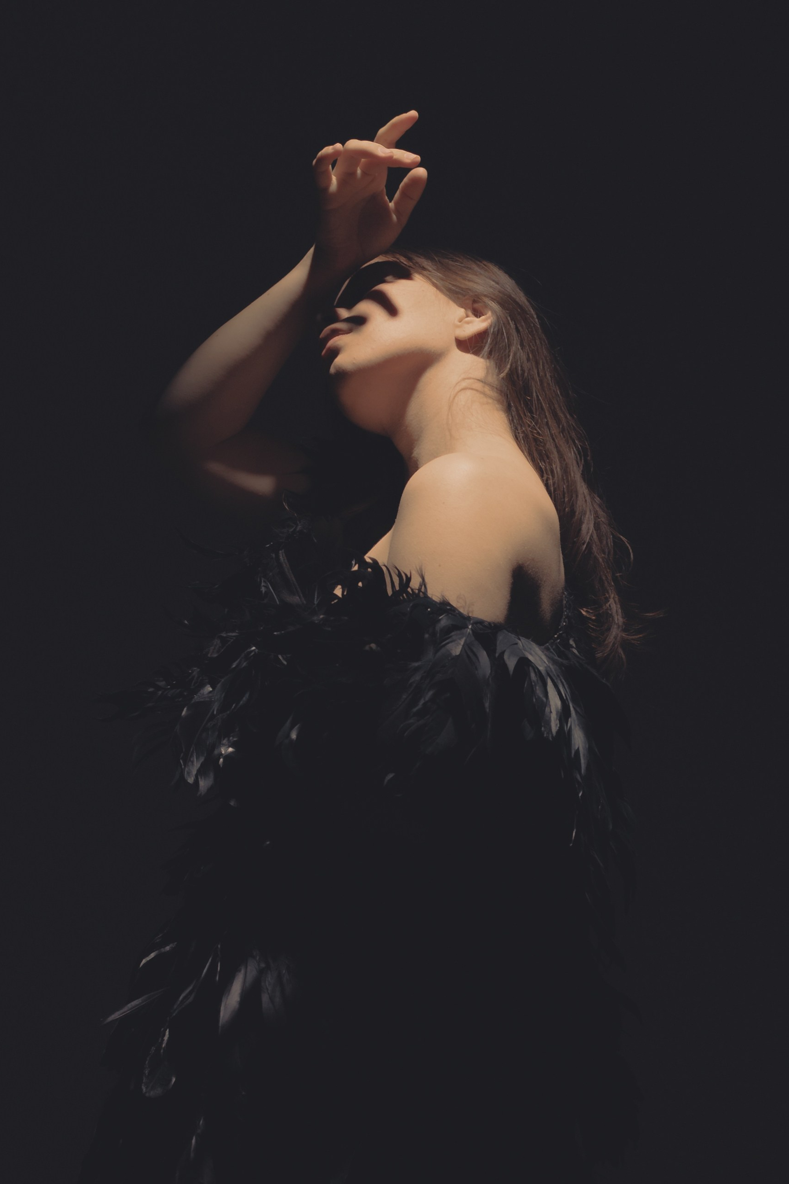 Black swan. Ларионова Виталина. Фотограф и видеограф в Санкт-Петербурге