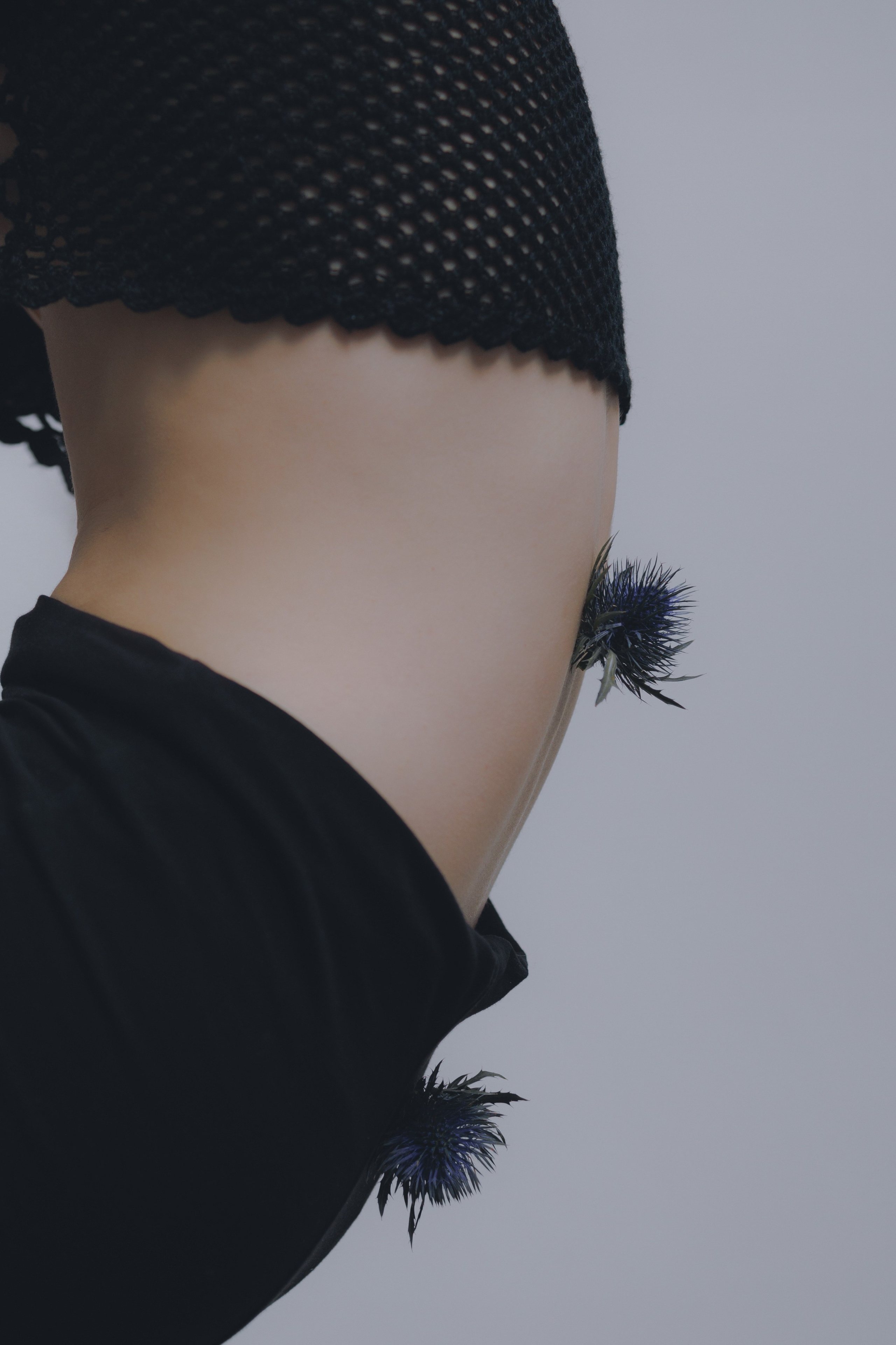 Blue Erýngium. Ларионова Виталина. Фотограф и видеограф в Санкт-Петербурге