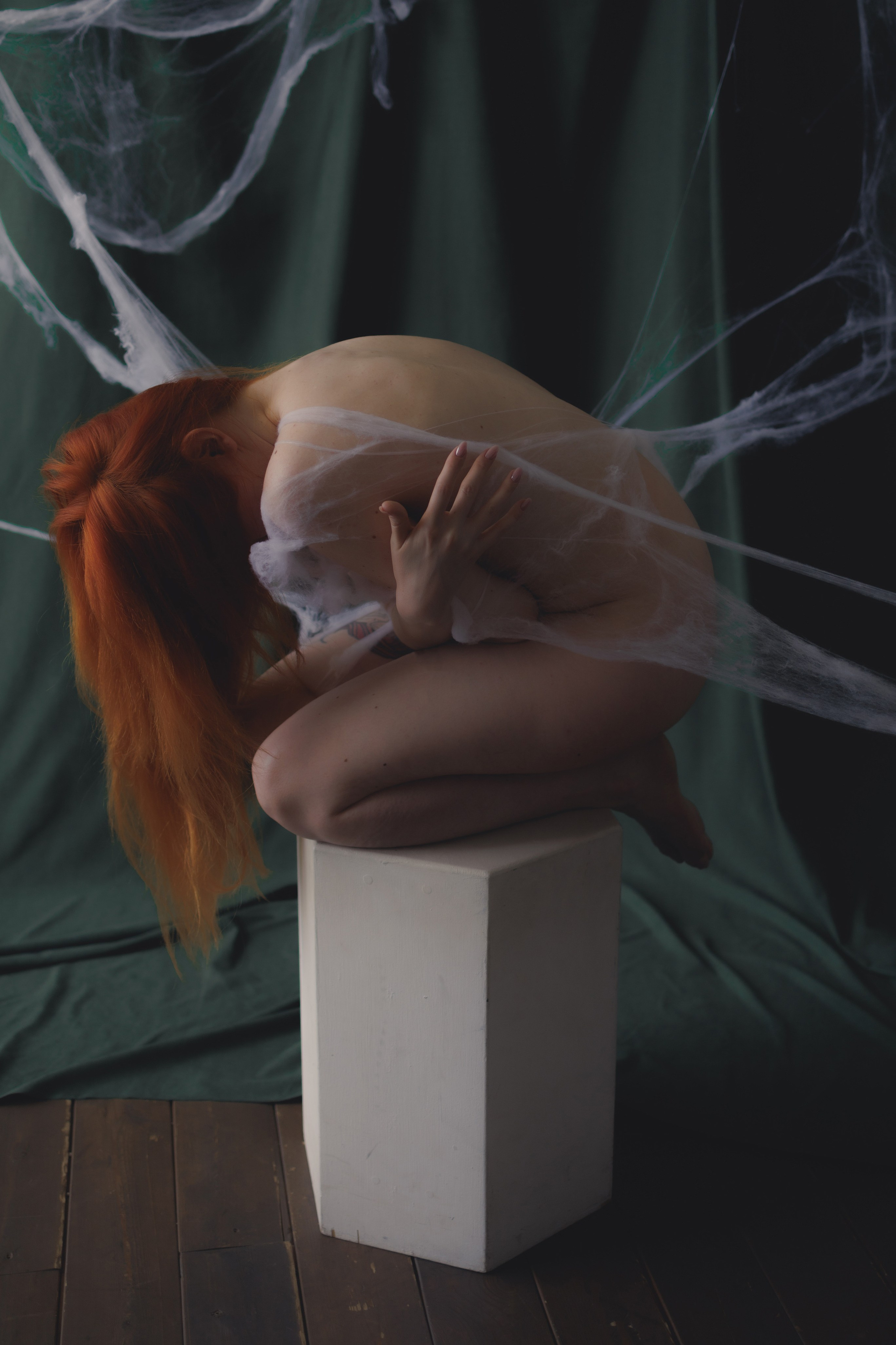 Butterfly in the web. Ларионова Виталина. Фотограф и видеограф в Санкт-Петербурге