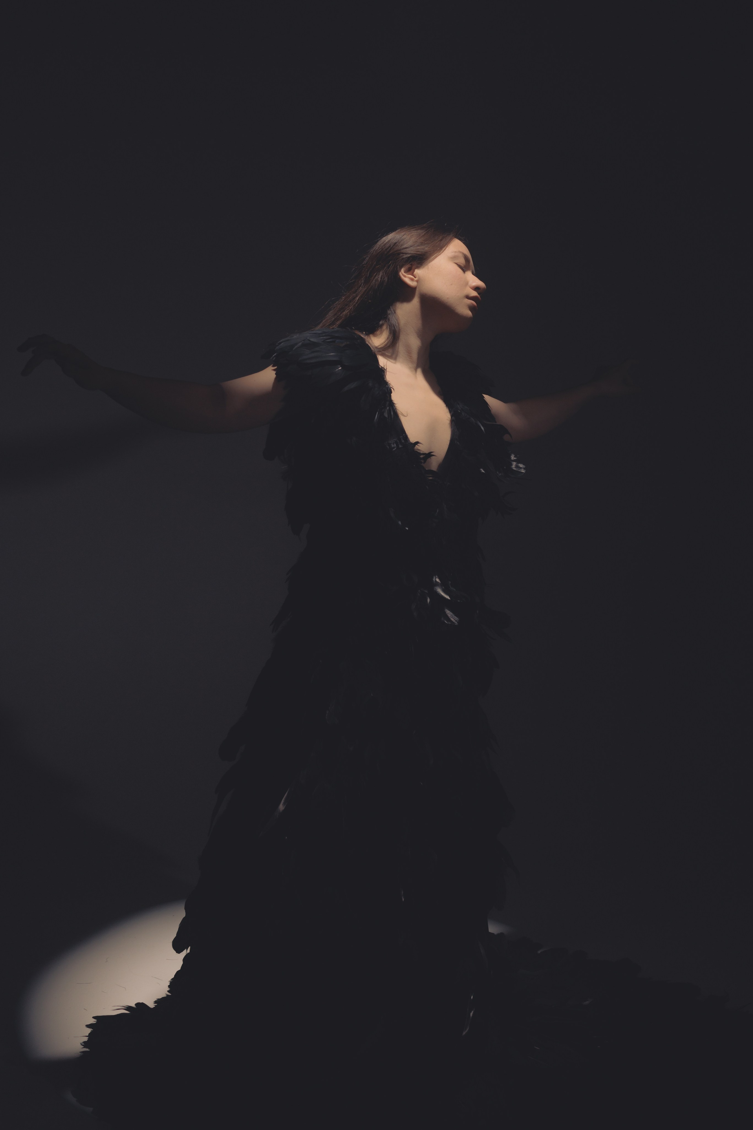 Black swan. Ларионова Виталина. Фотограф и видеограф в Санкт-Петербурге