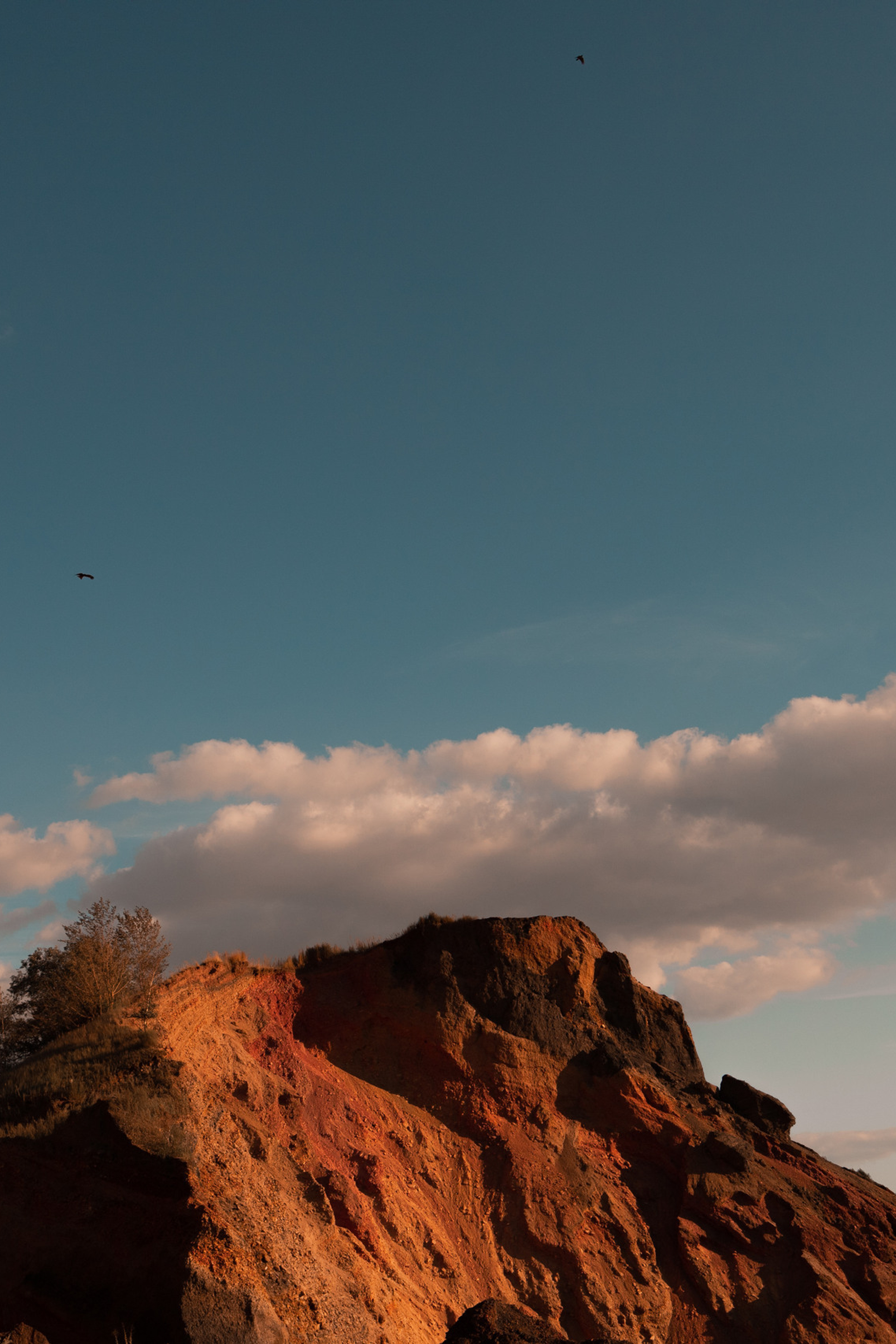 Martian. Ларионова Виталина. Фотограф и видеограф в Санкт-Петербурге