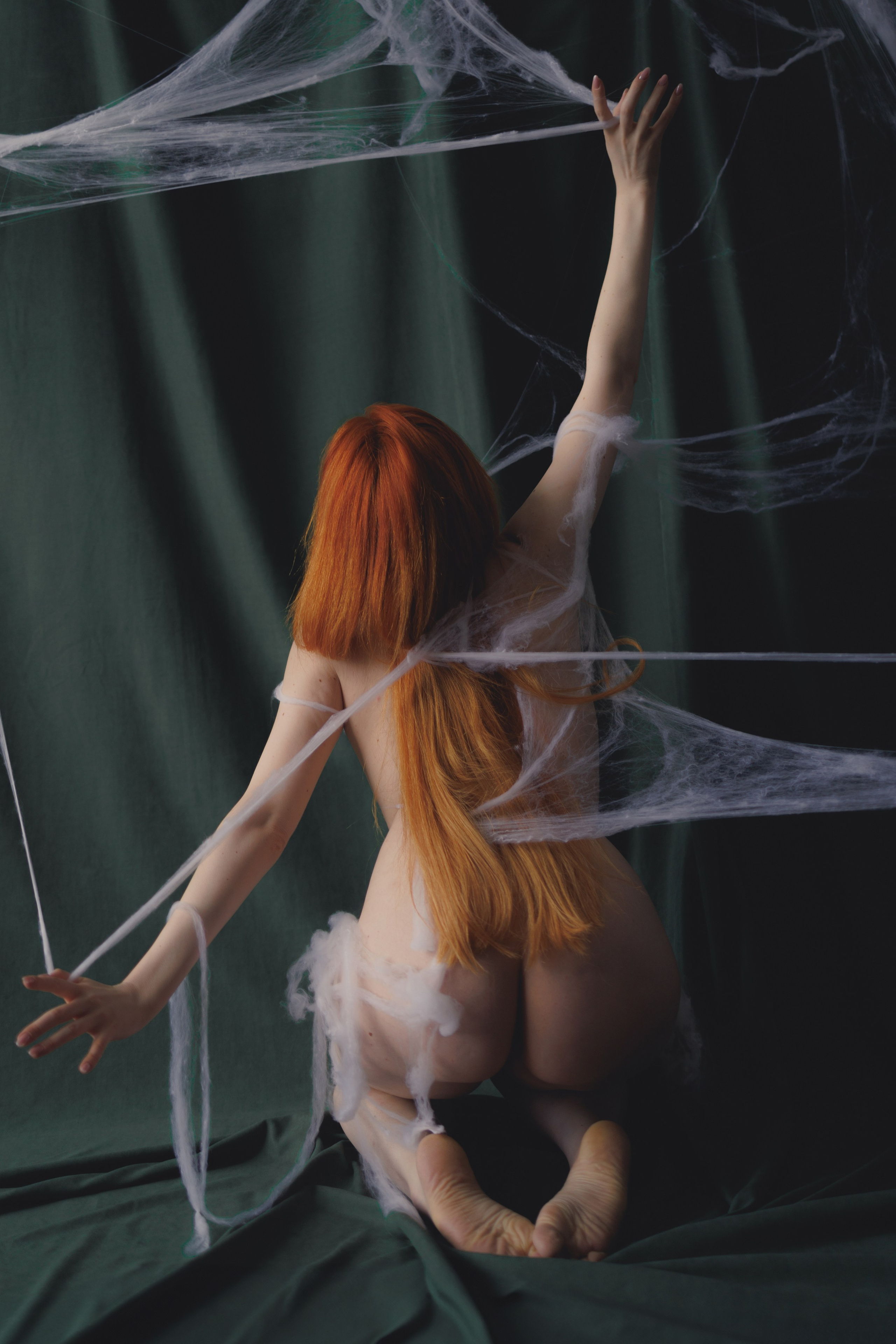 Butterfly in the web. Ларионова Виталина. Фотограф и видеограф в Санкт-Петербурге