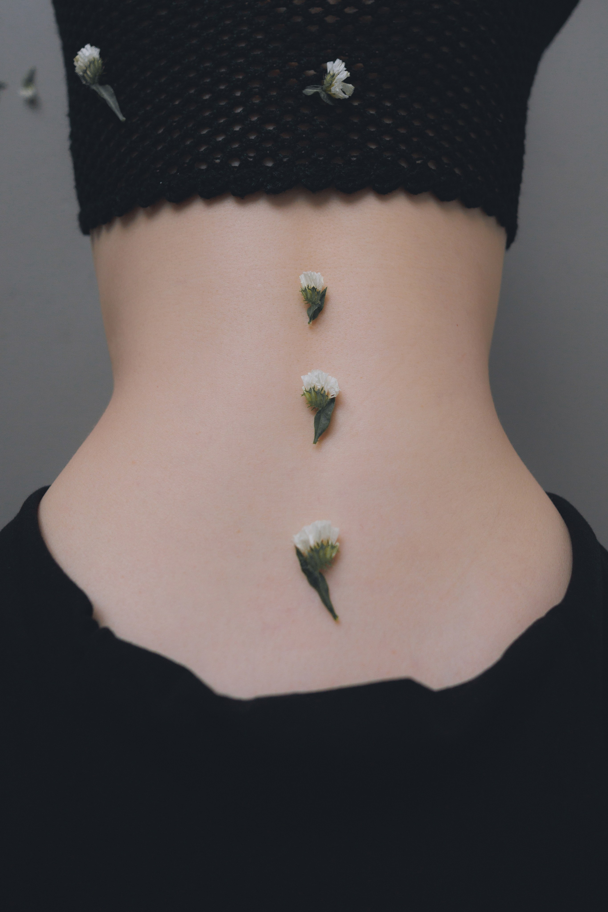 Blue Erýngium. Ларионова Виталина. Фотограф и видеограф в Санкт-Петербурге