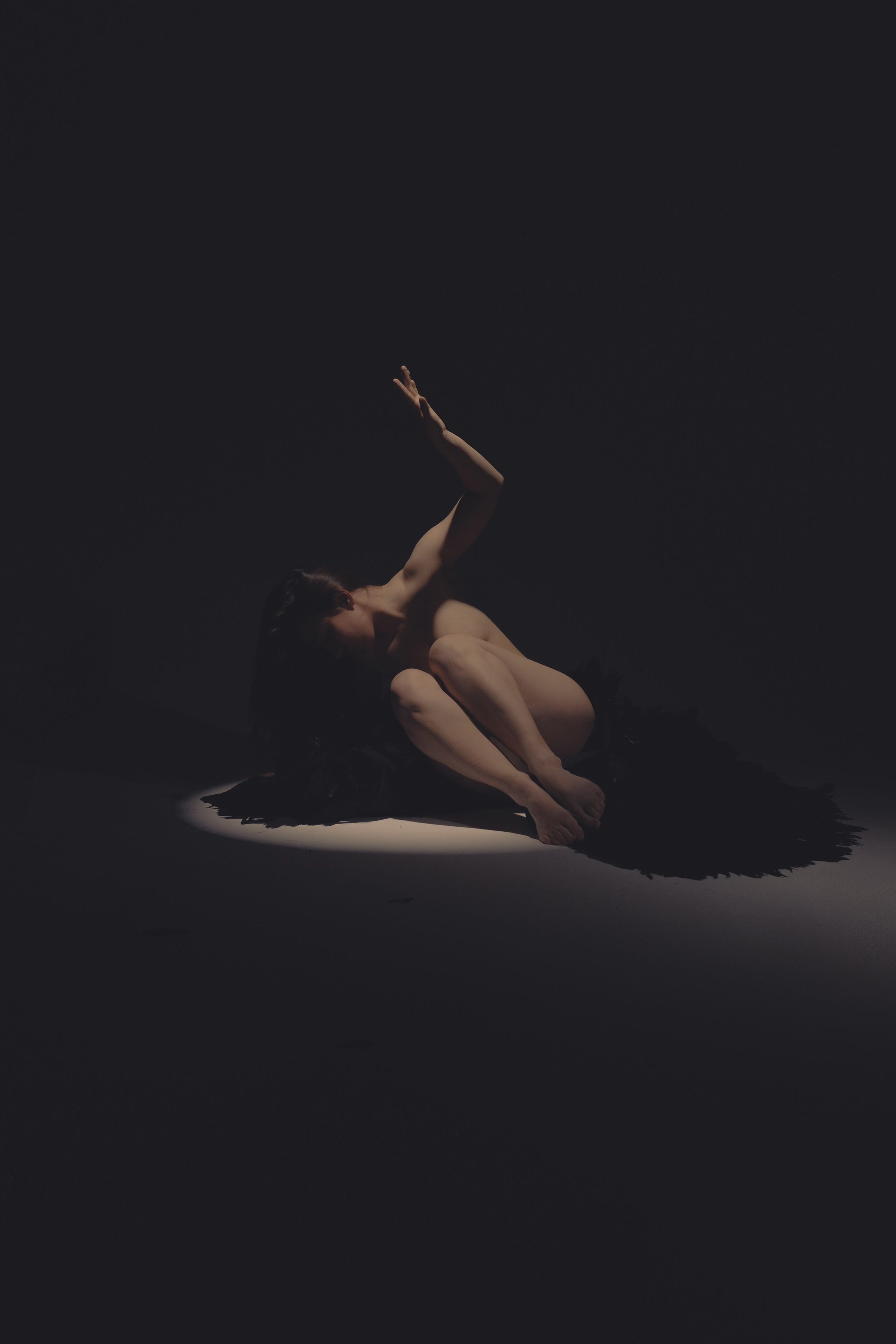 Black swan. Ларионова Виталина. Фотограф и видеограф в Санкт-Петербурге