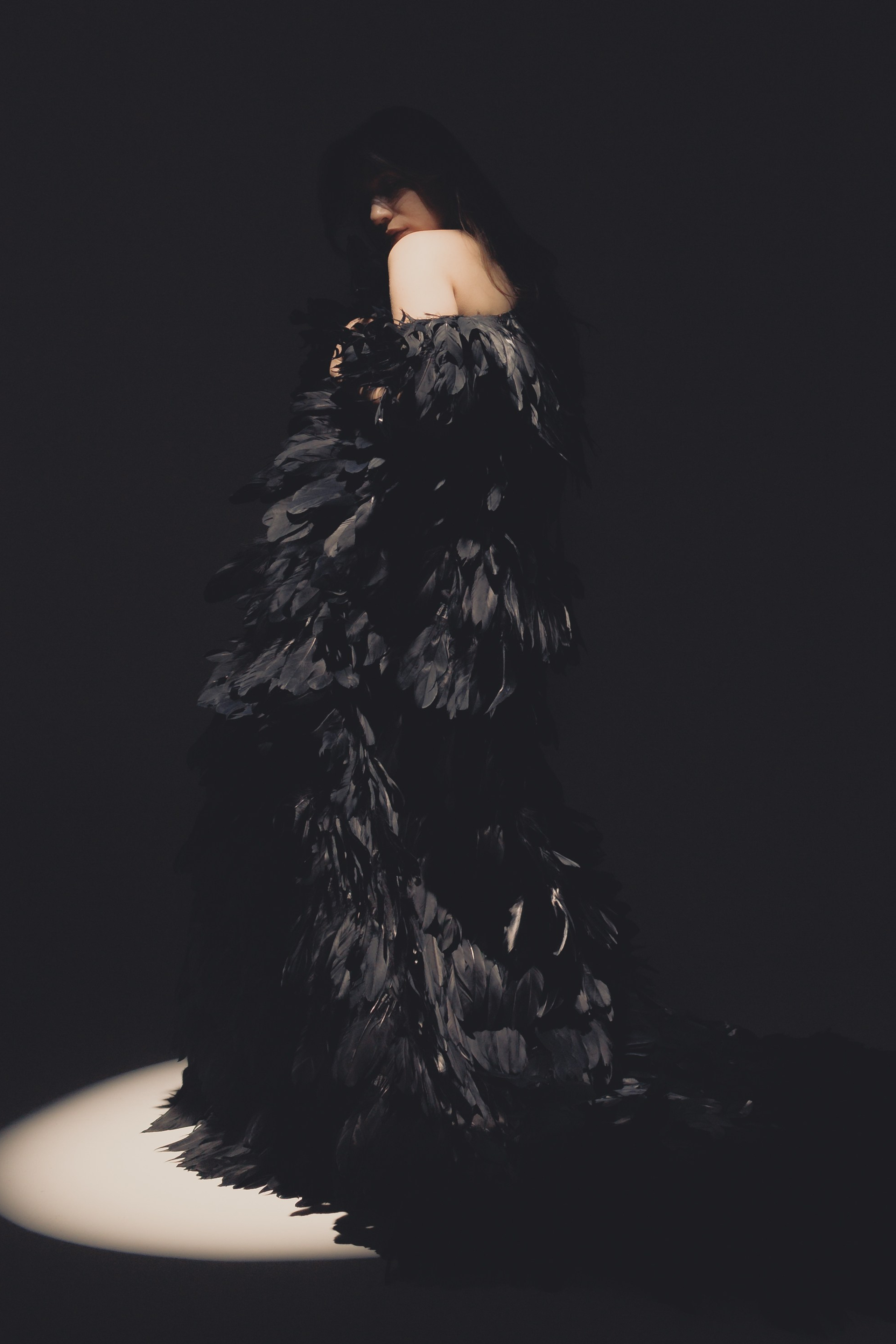 Black swan. Ларионова Виталина. Фотограф и видеограф в Санкт-Петербурге