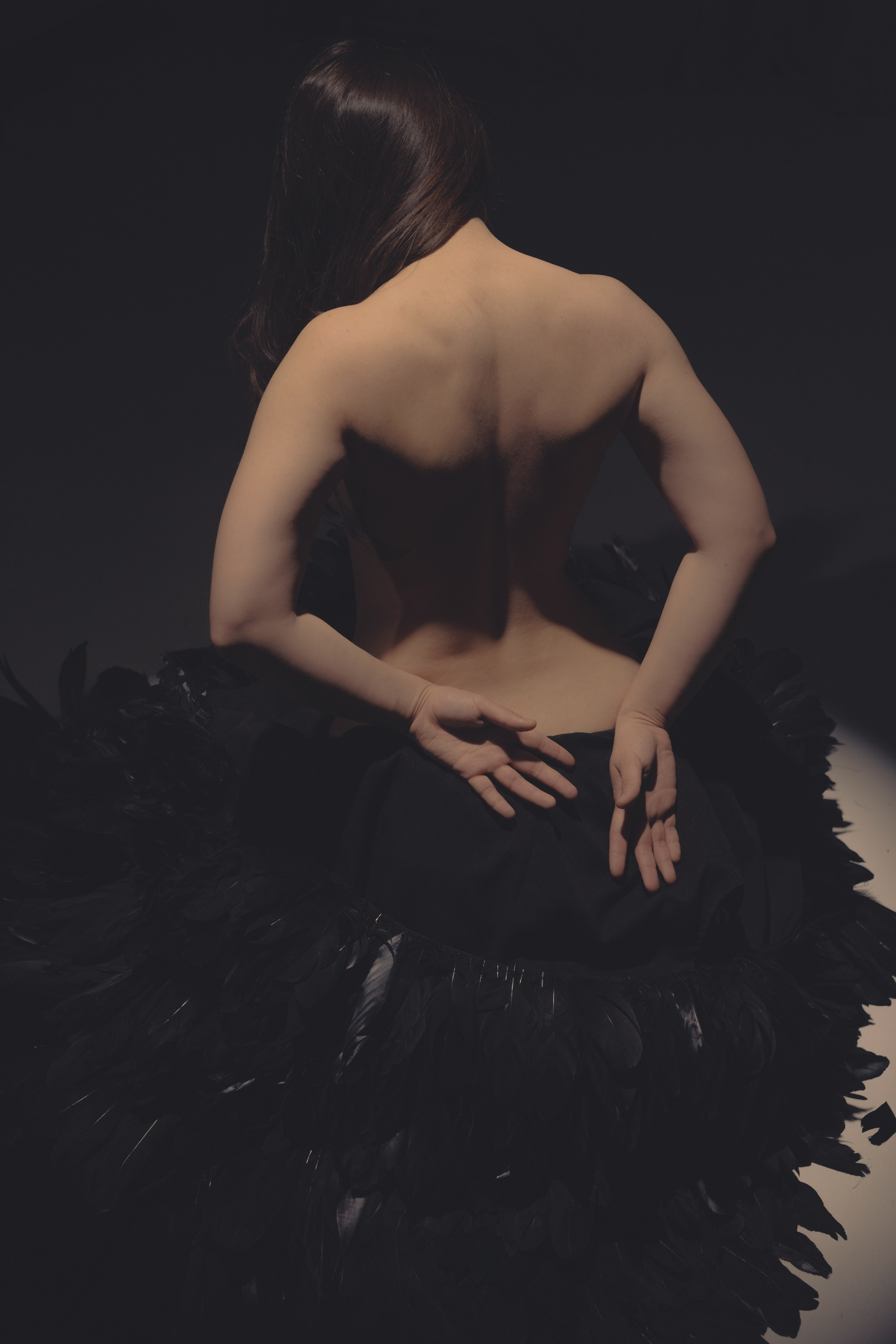 Black swan. Ларионова Виталина. Фотограф и видеограф в Санкт-Петербурге