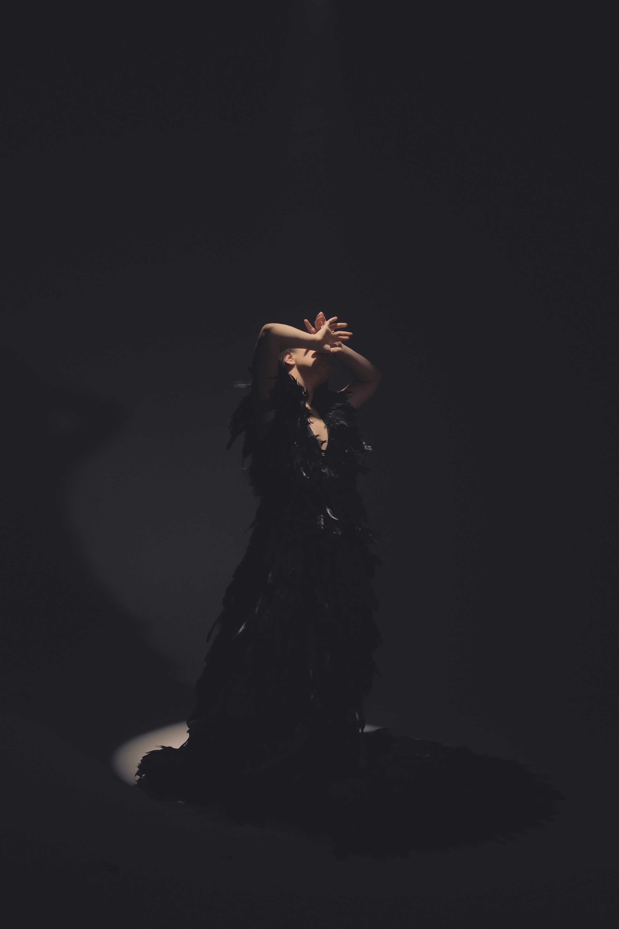 Black swan. Ларионова Виталина. Фотограф и видеограф в Санкт-Петербурге