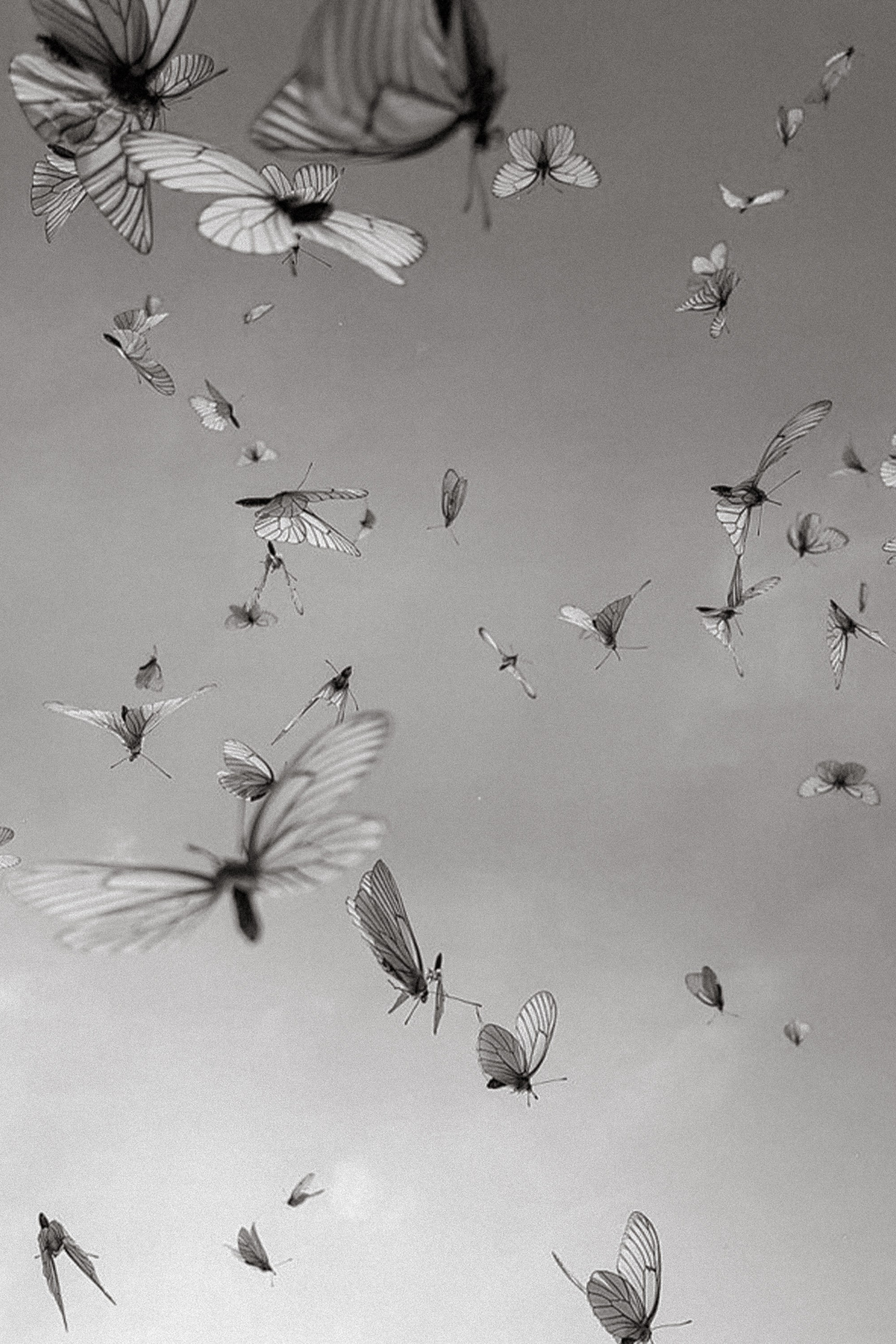 Prewie свадебного дня Илья и Кира. Свадебный фотограф Колесников Антон