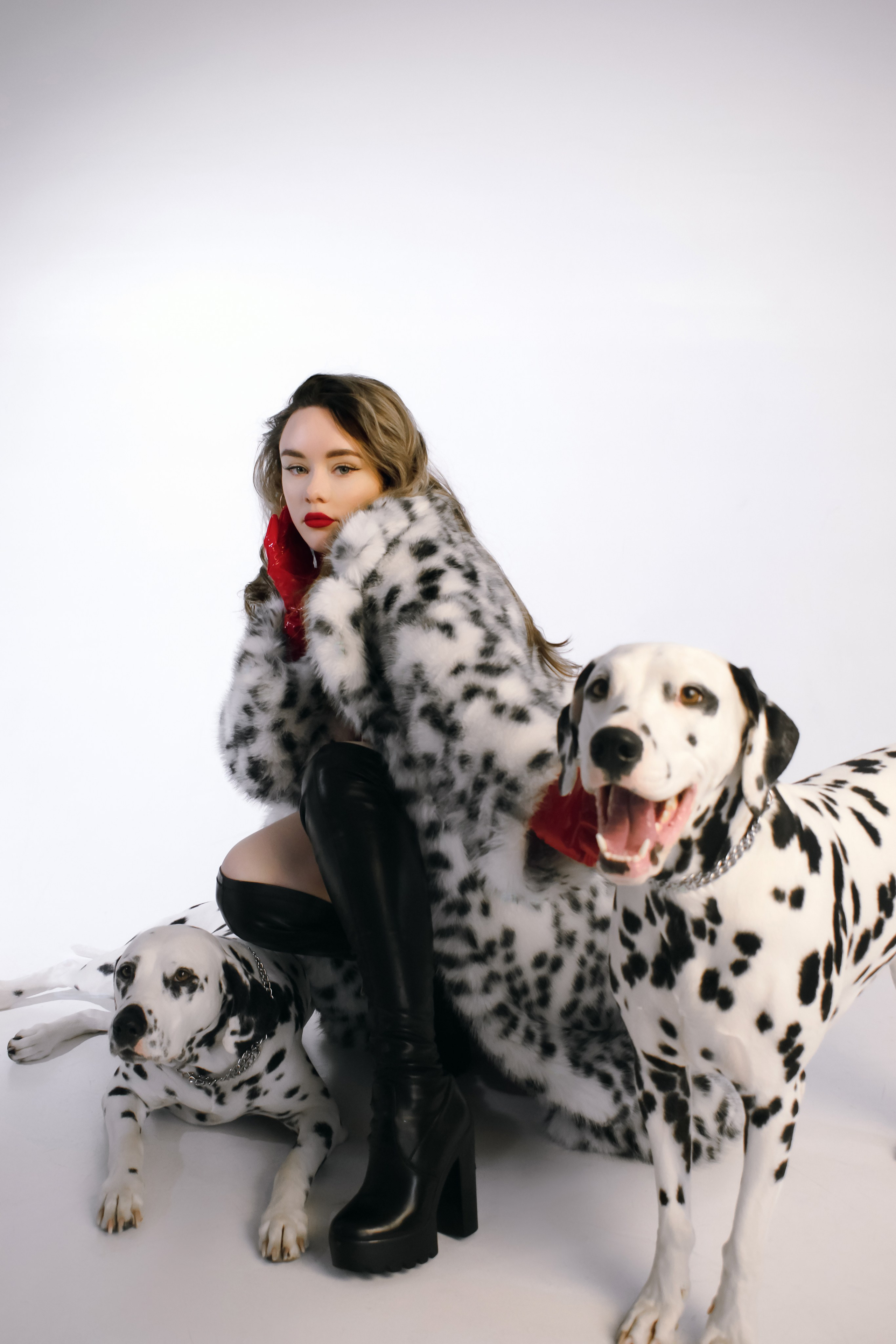 с долмантинцами