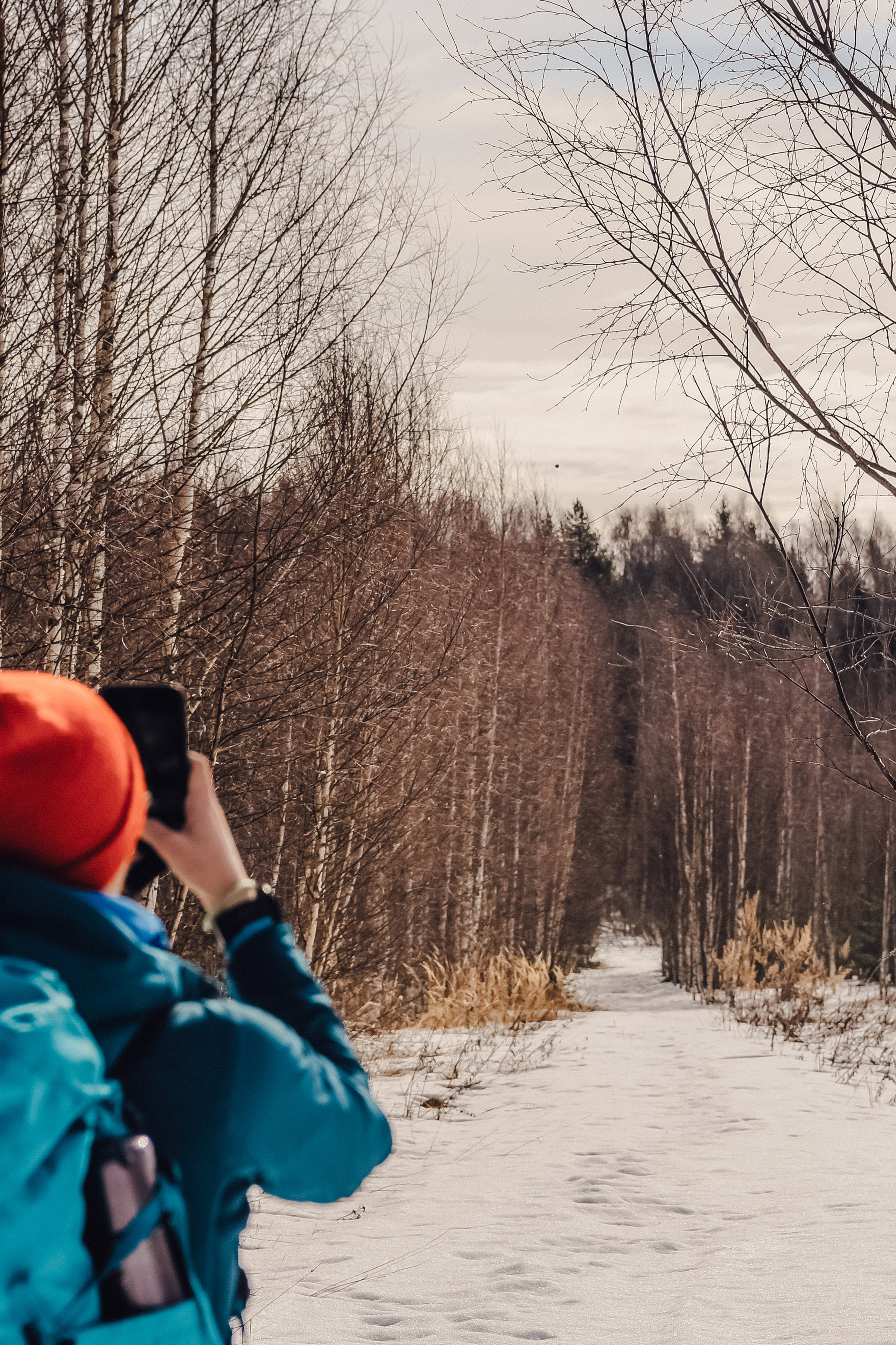 Костромская глушь ранней весной