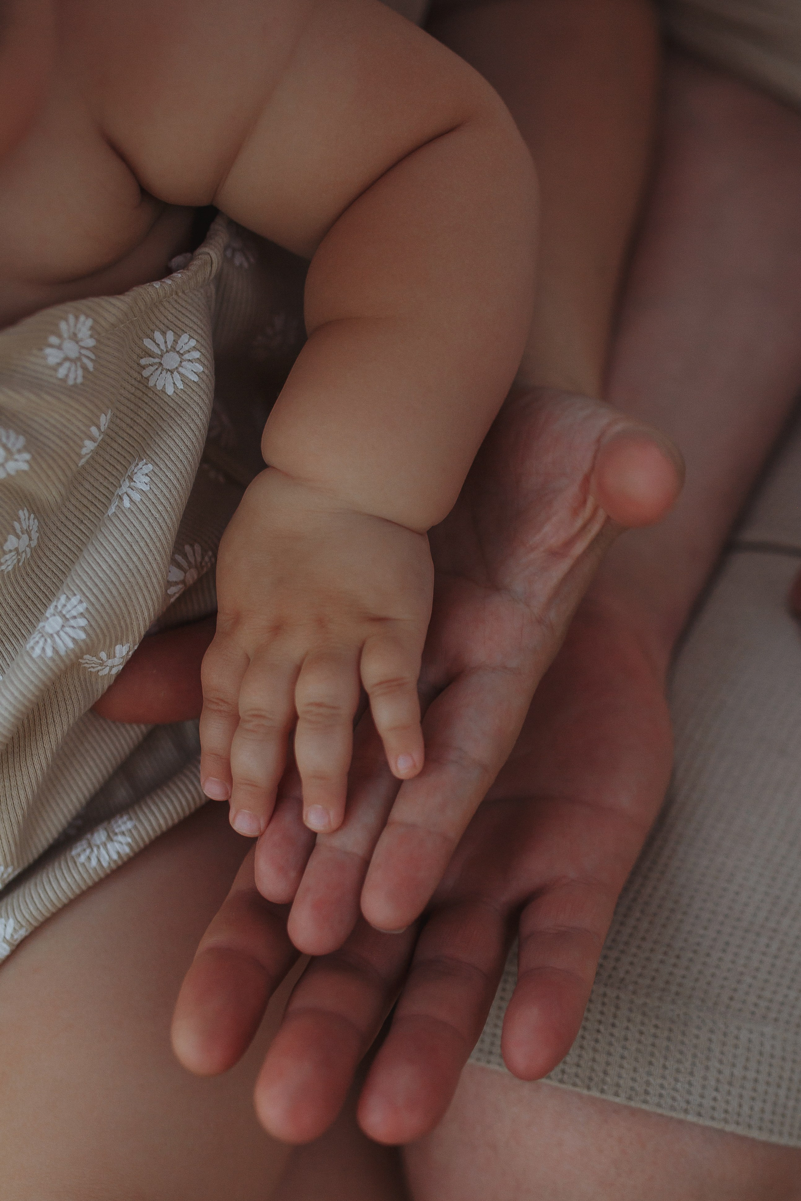 В объятиях лета