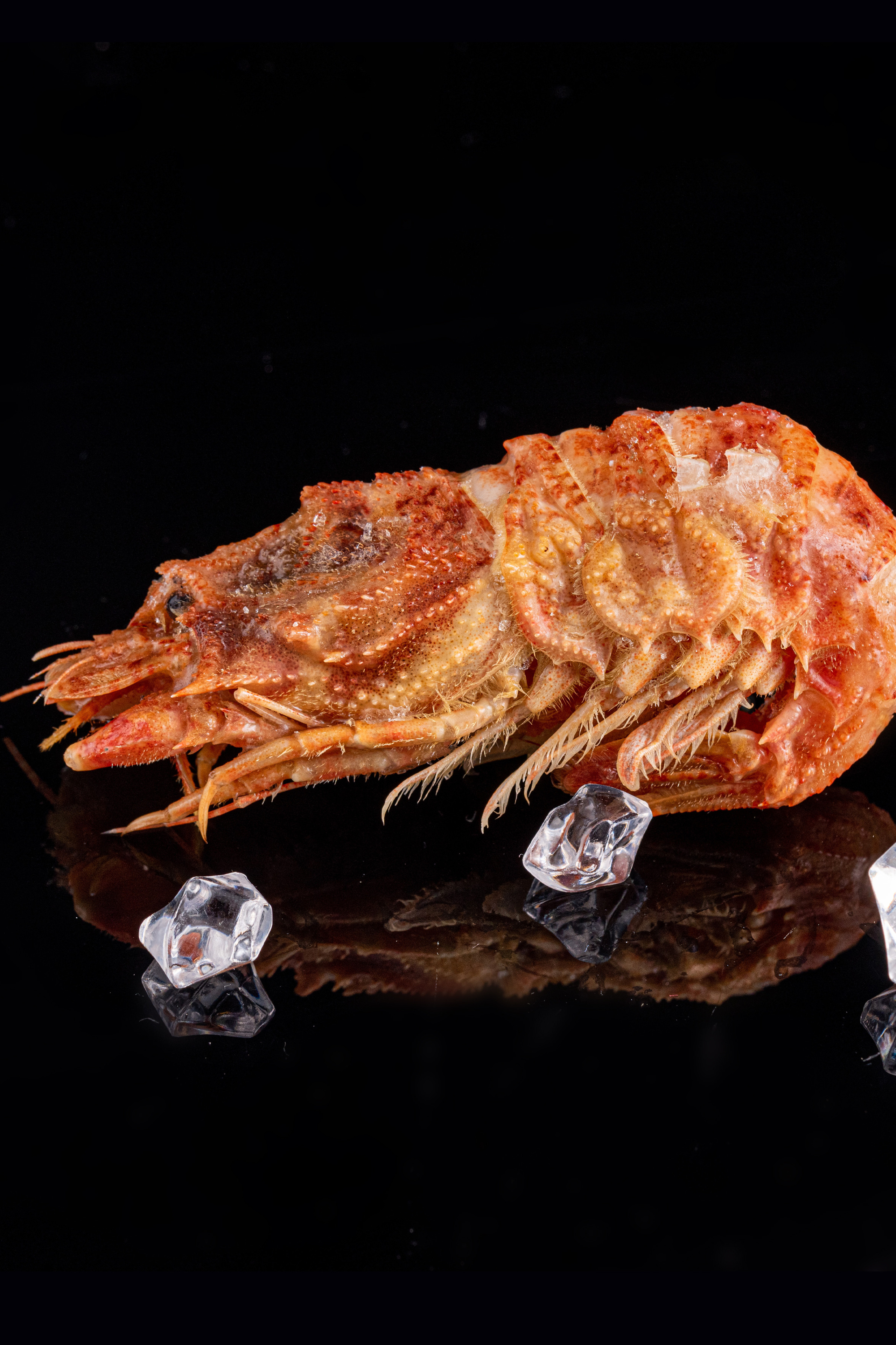 КРОССОВКИ. Раптовый Александр Предметный и рекламный фотограф в Москве